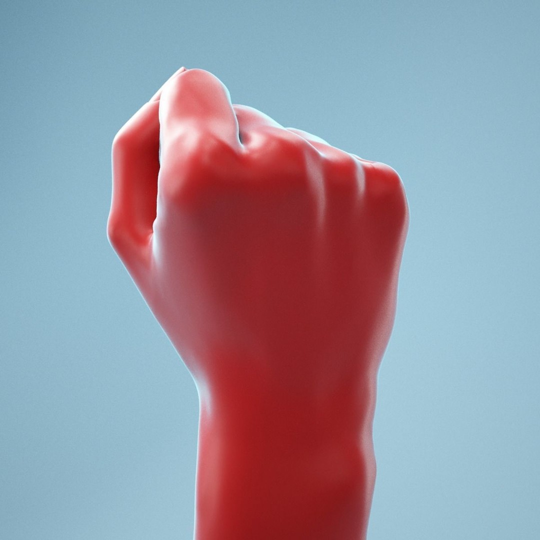 Realistic Fist Hand 3D Model – High Poly PBR Scan, FBX & OBJ - View 8