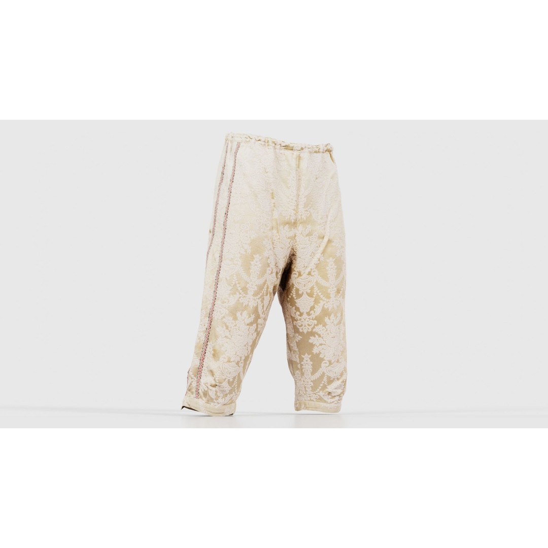 Nature Trousers 3D Model – Low Poly Floral Pants, Game Ready FBX - View 18