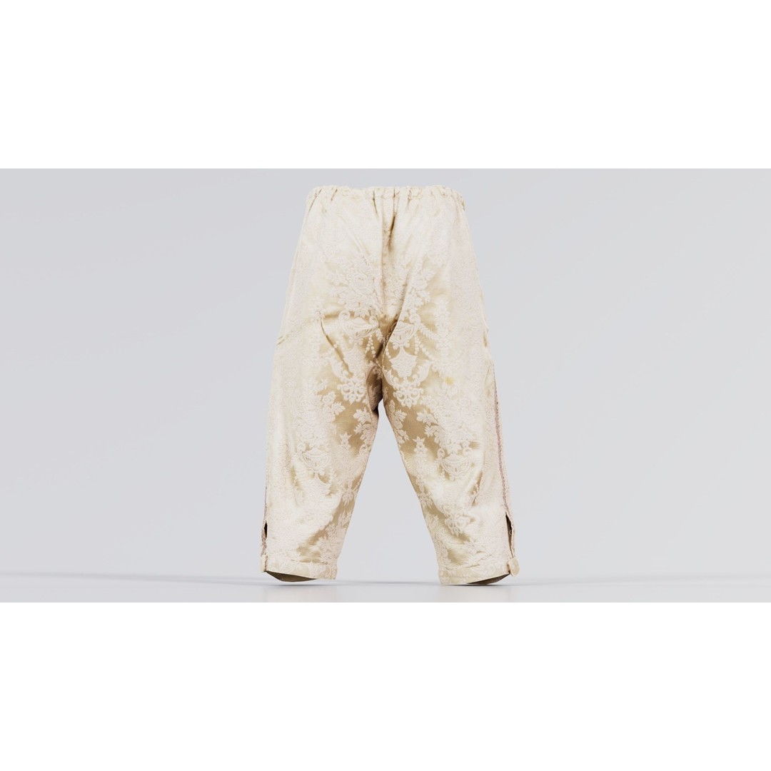 Nature Trousers 3D Model – Low Poly Floral Pants, Game Ready FBX - View 3