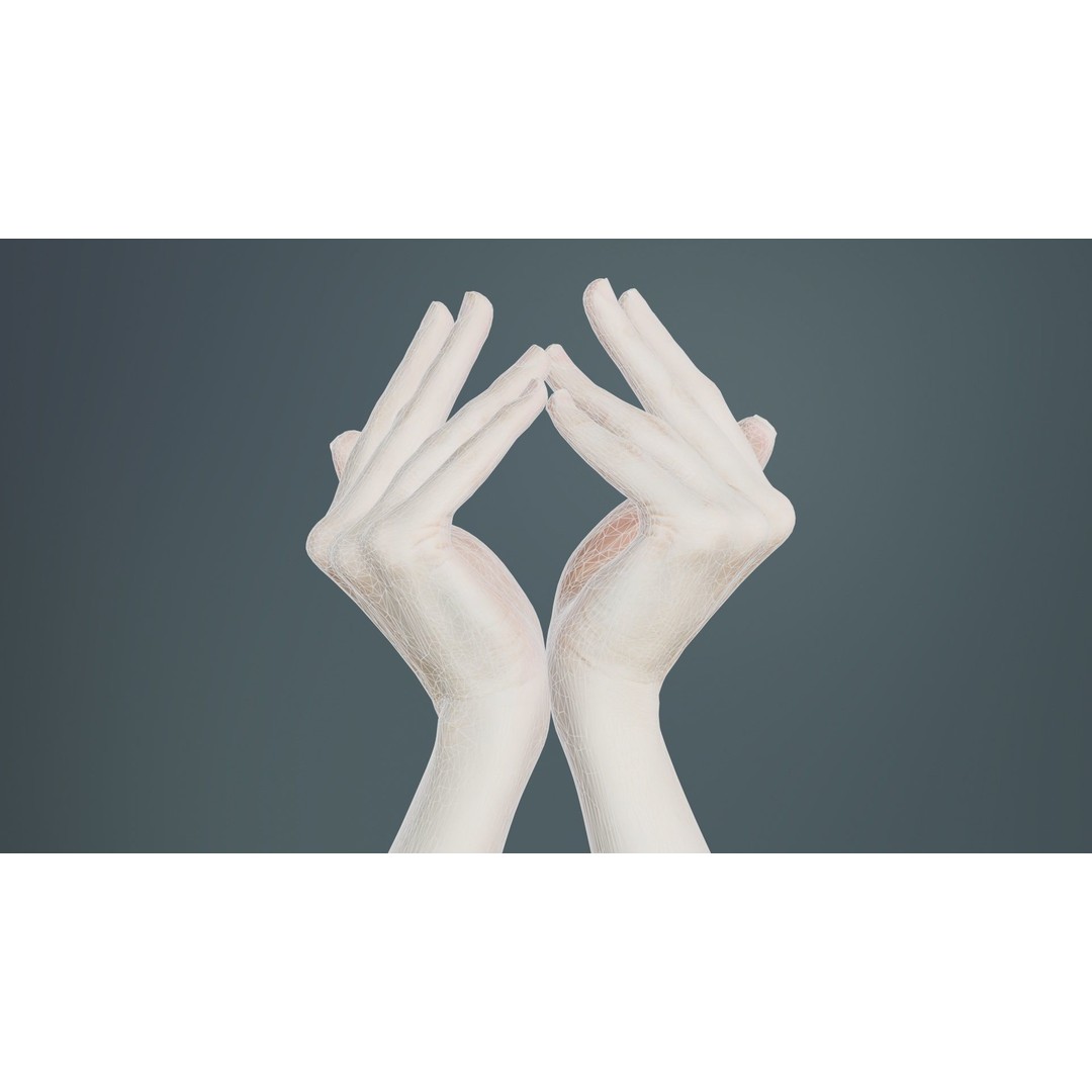 Duo Hands 3D Model – Low Poly Character Asset, FBX & More - View 11