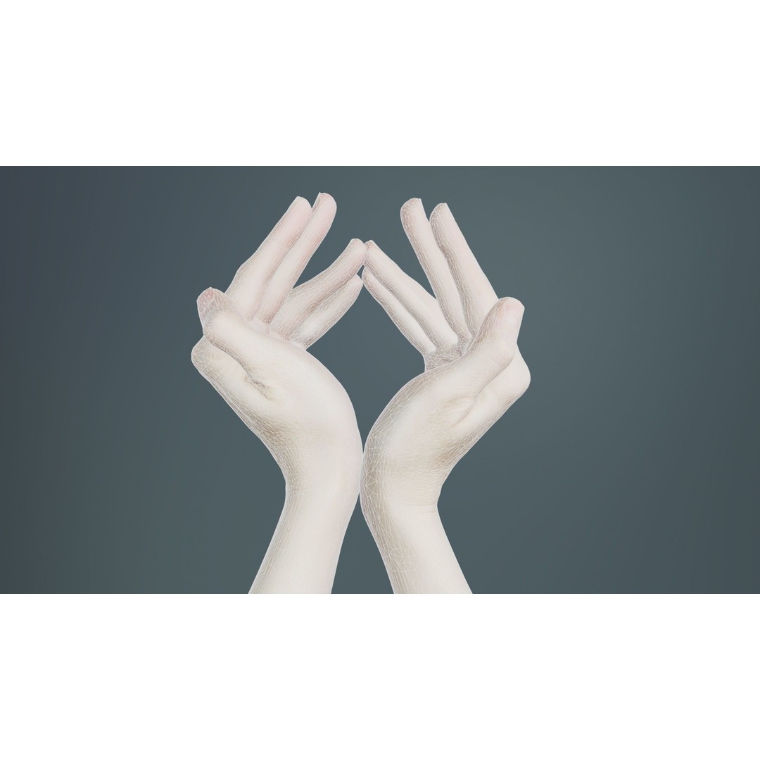 Duo Hands 3D Model – Low Poly Character Asset, FBX & More - View 12