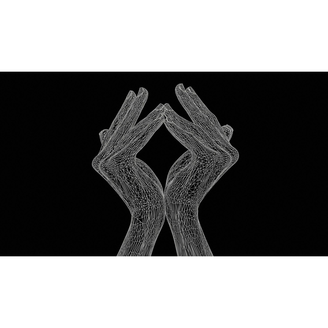 Duo Hands 3D Model – Low Poly Character Asset, FBX & More - View 13