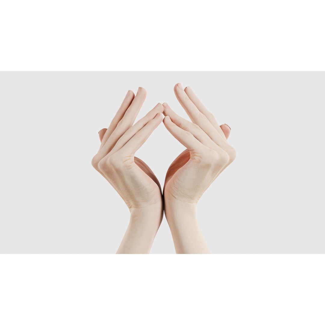 Duo Hands 3D Model – Low Poly Character Asset, FBX & More - View 17