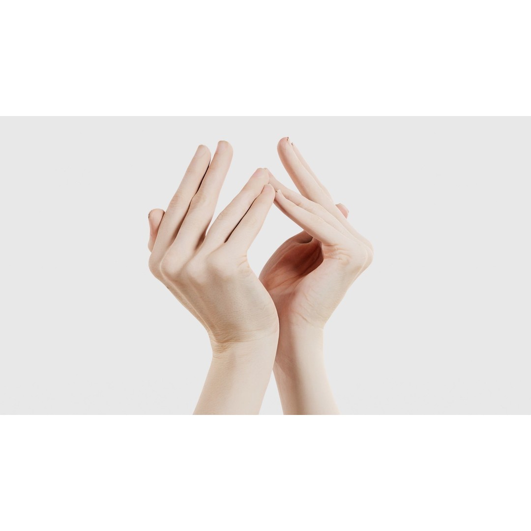 Duo Hands 3D Model – Low Poly Character Asset, FBX & More - View 18