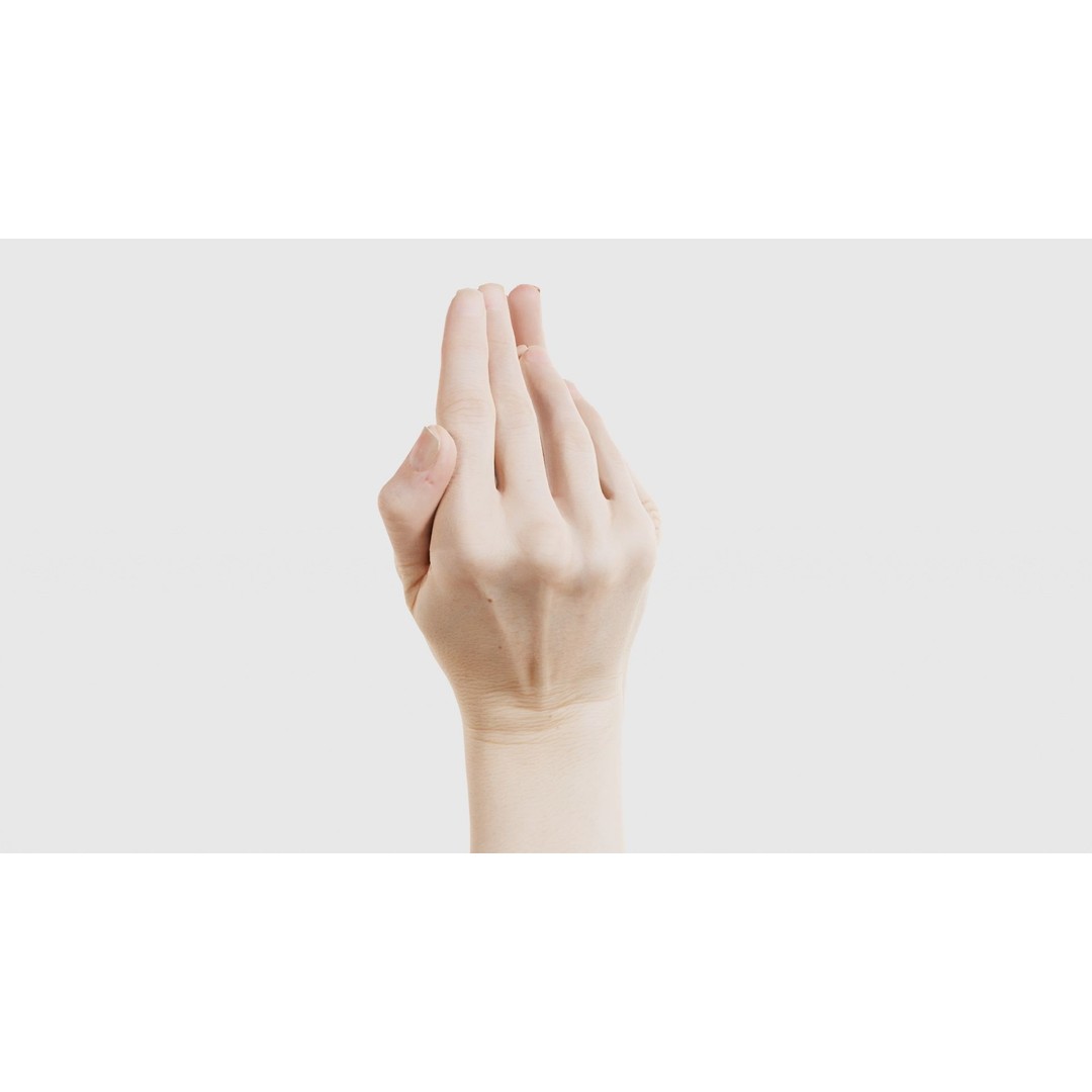 Duo Hands 3D Model – Low Poly Character Asset, FBX & More - View 20