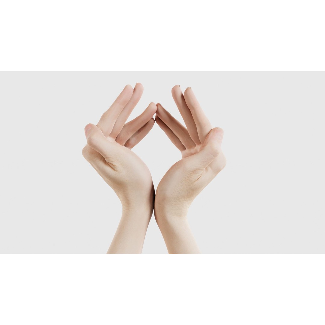 Duo Hands 3D Model – Low Poly Character Asset, FBX & More - View 23