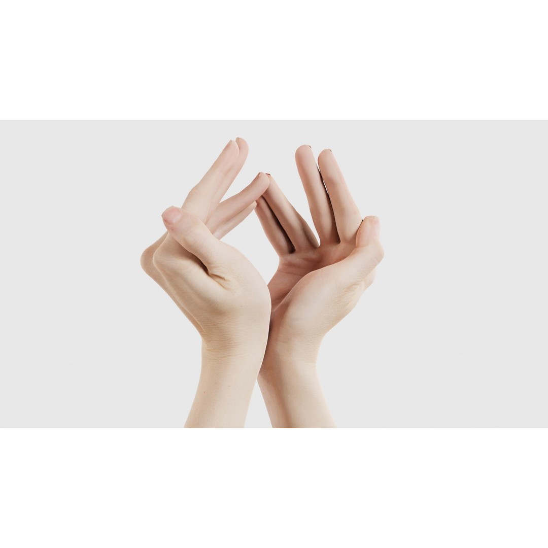 Duo Hands 3D Model – Low Poly Character Asset, FBX & More - View 24