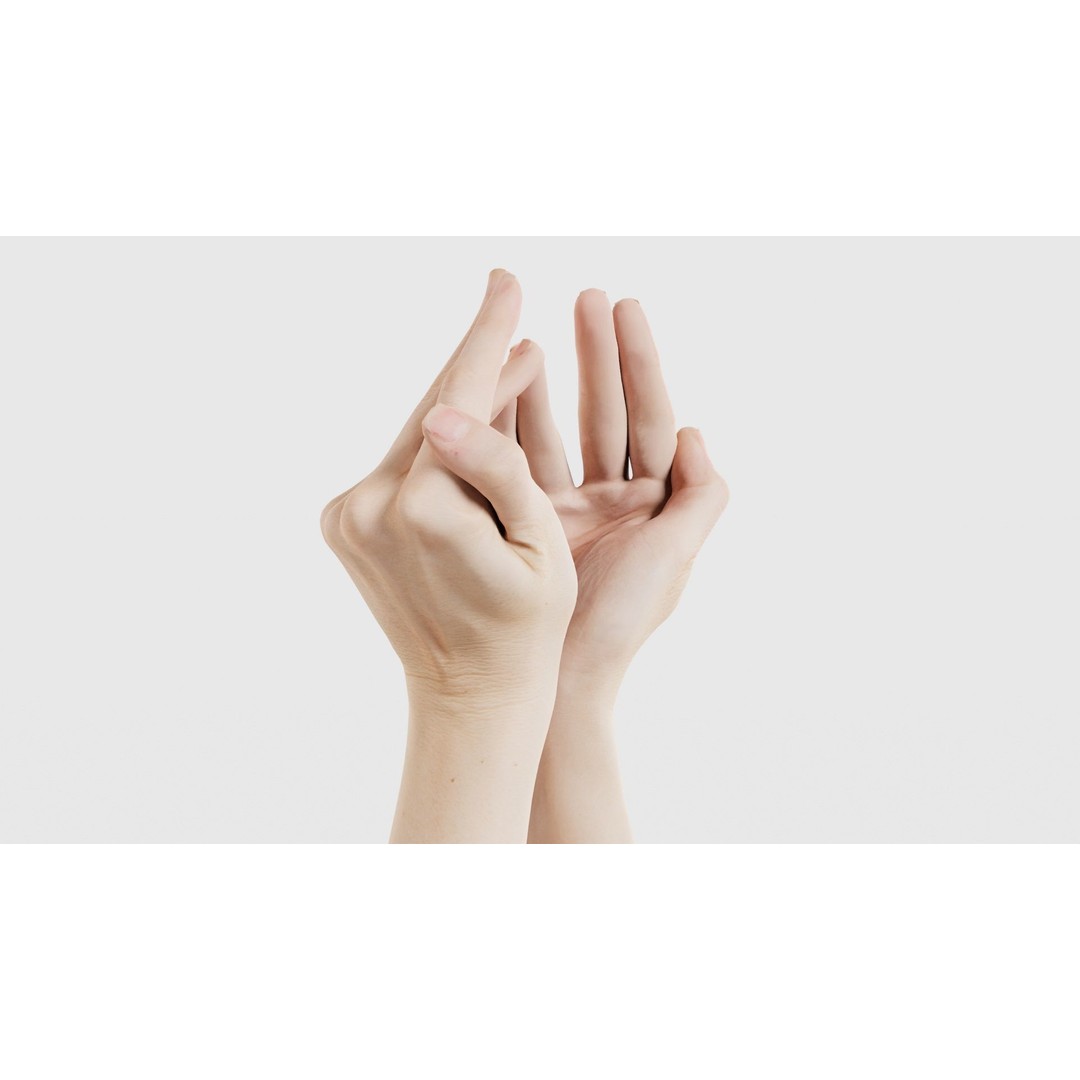 Duo Hands 3D Model – Low Poly Character Asset, FBX & More - View 25