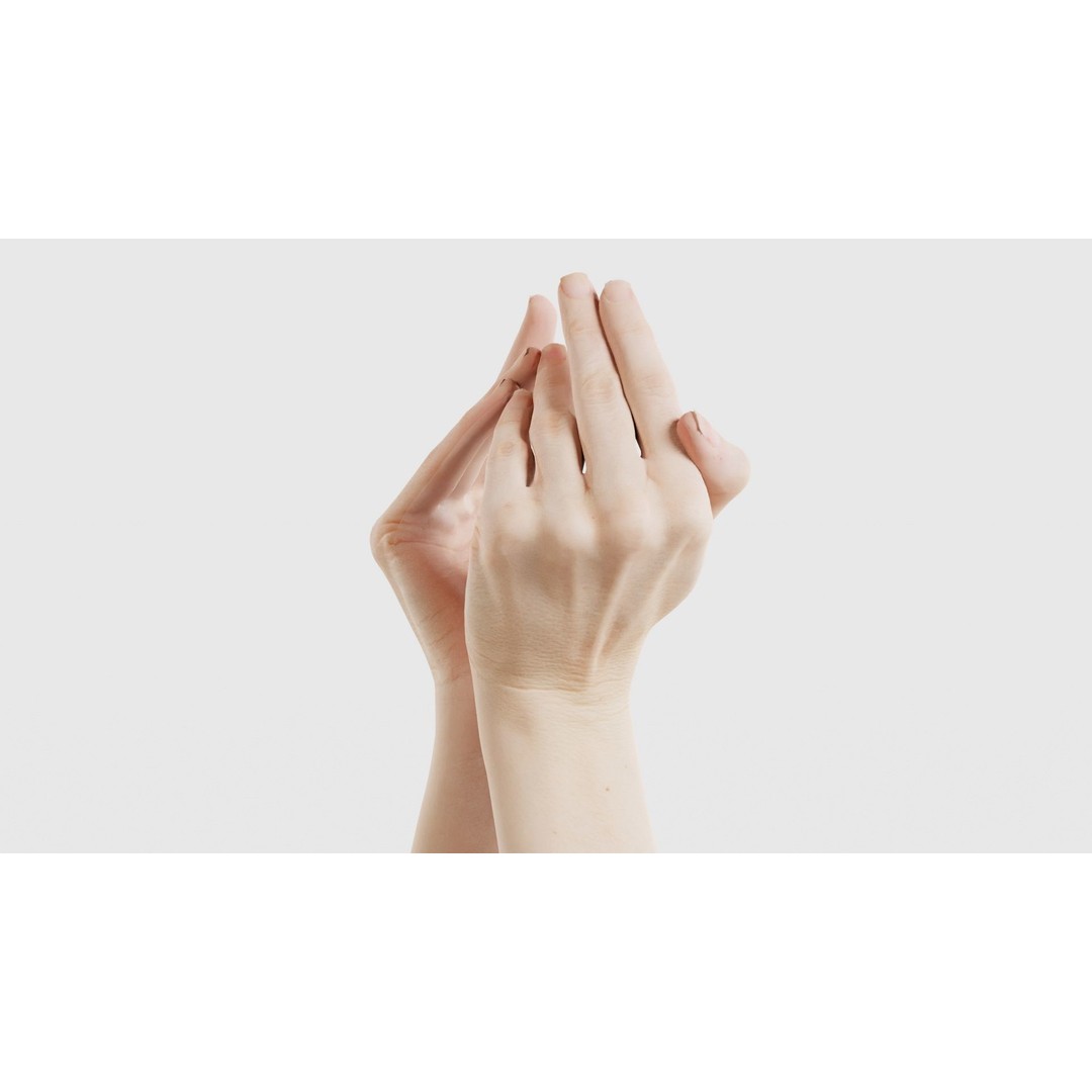 Duo Hands 3D Model – Low Poly Character Asset, FBX & More - View 27