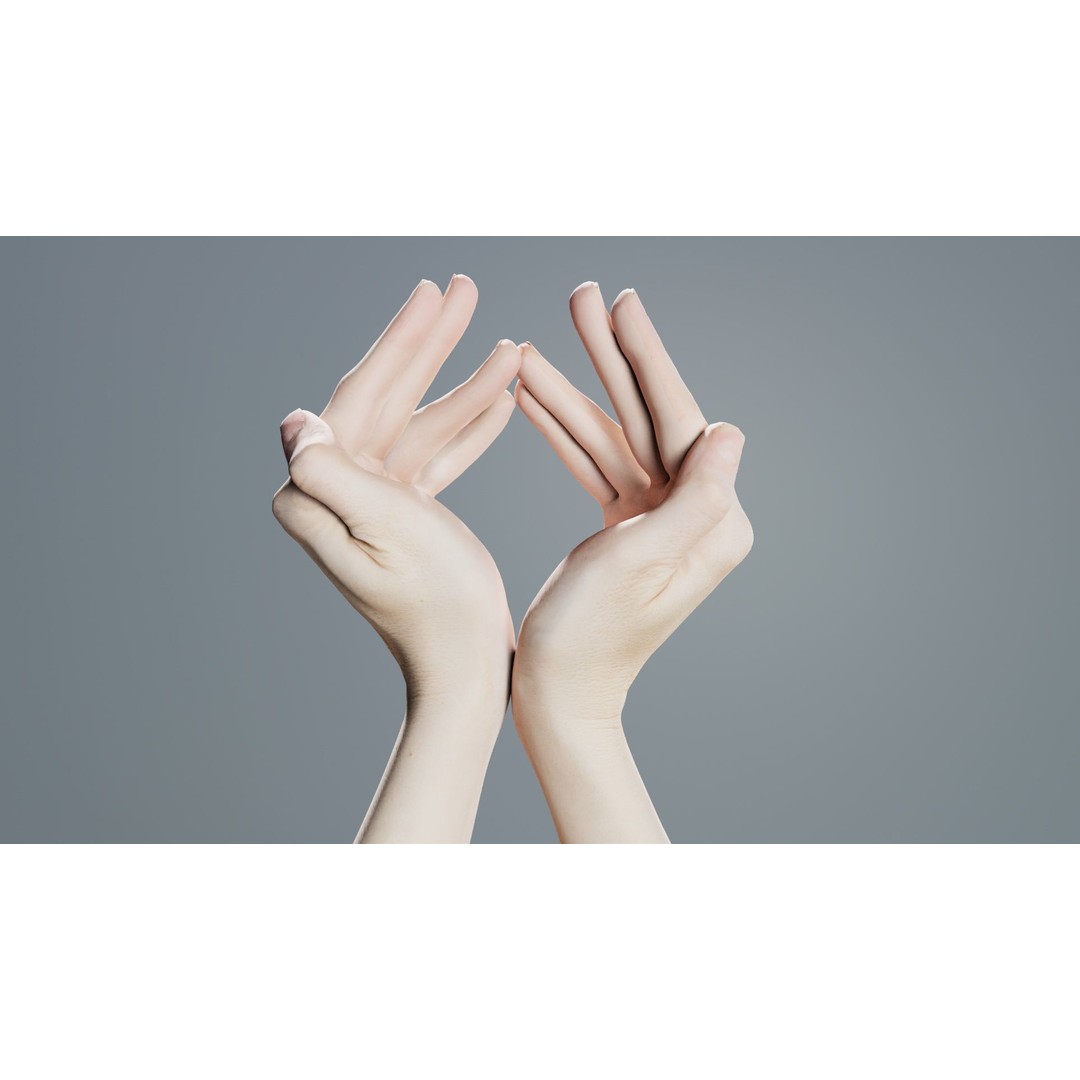 Duo Hands 3D Model – Low Poly Character Asset, FBX & More - View 3