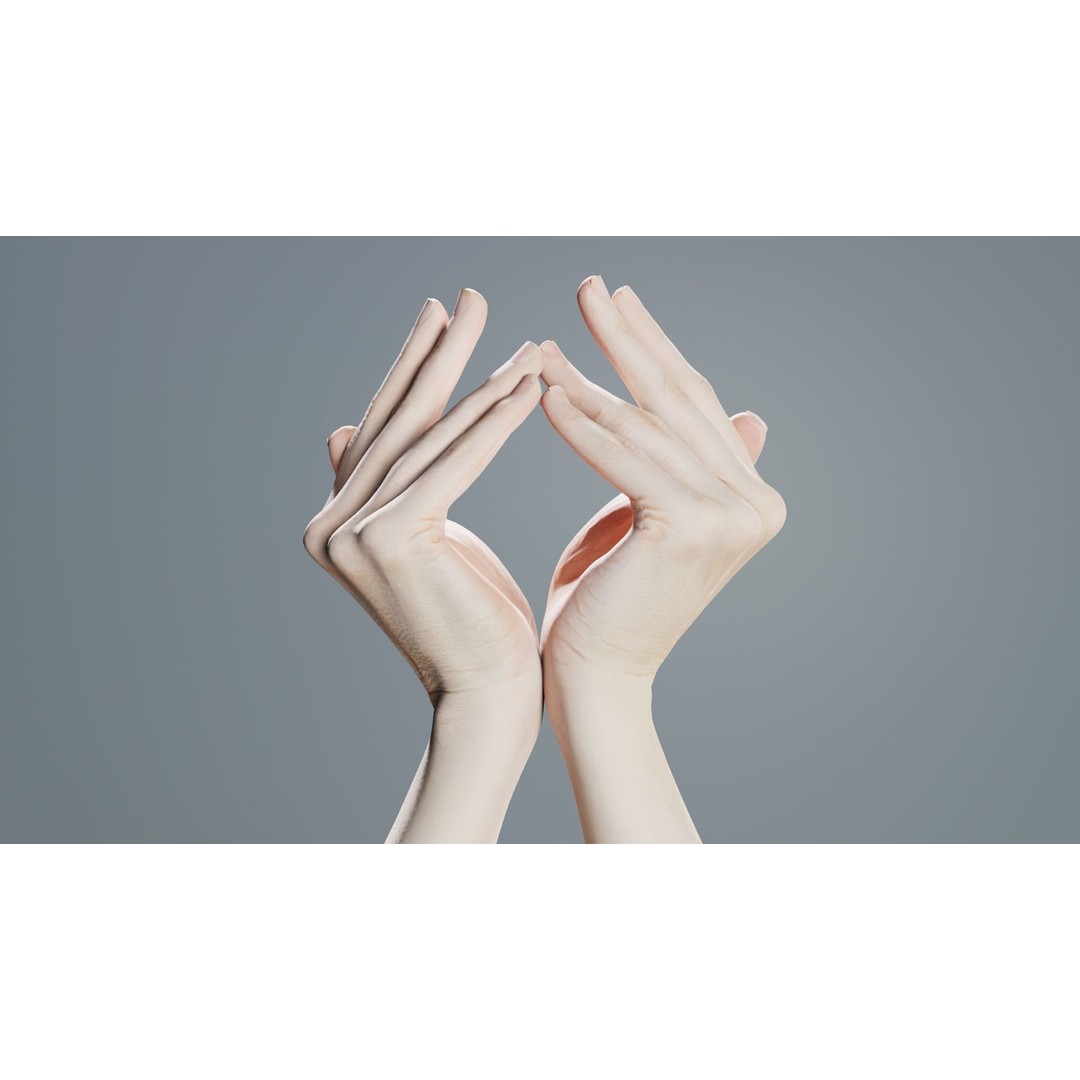 Duo Hands 3D Model – Low Poly Character Asset, FBX & More - View 5
