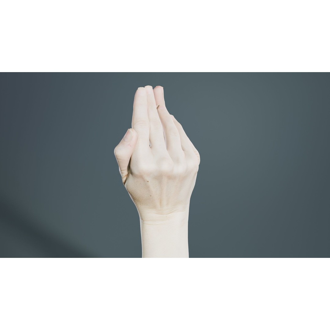 Duo Hands 3D Model – Low Poly Character Asset, FBX & More - View 6