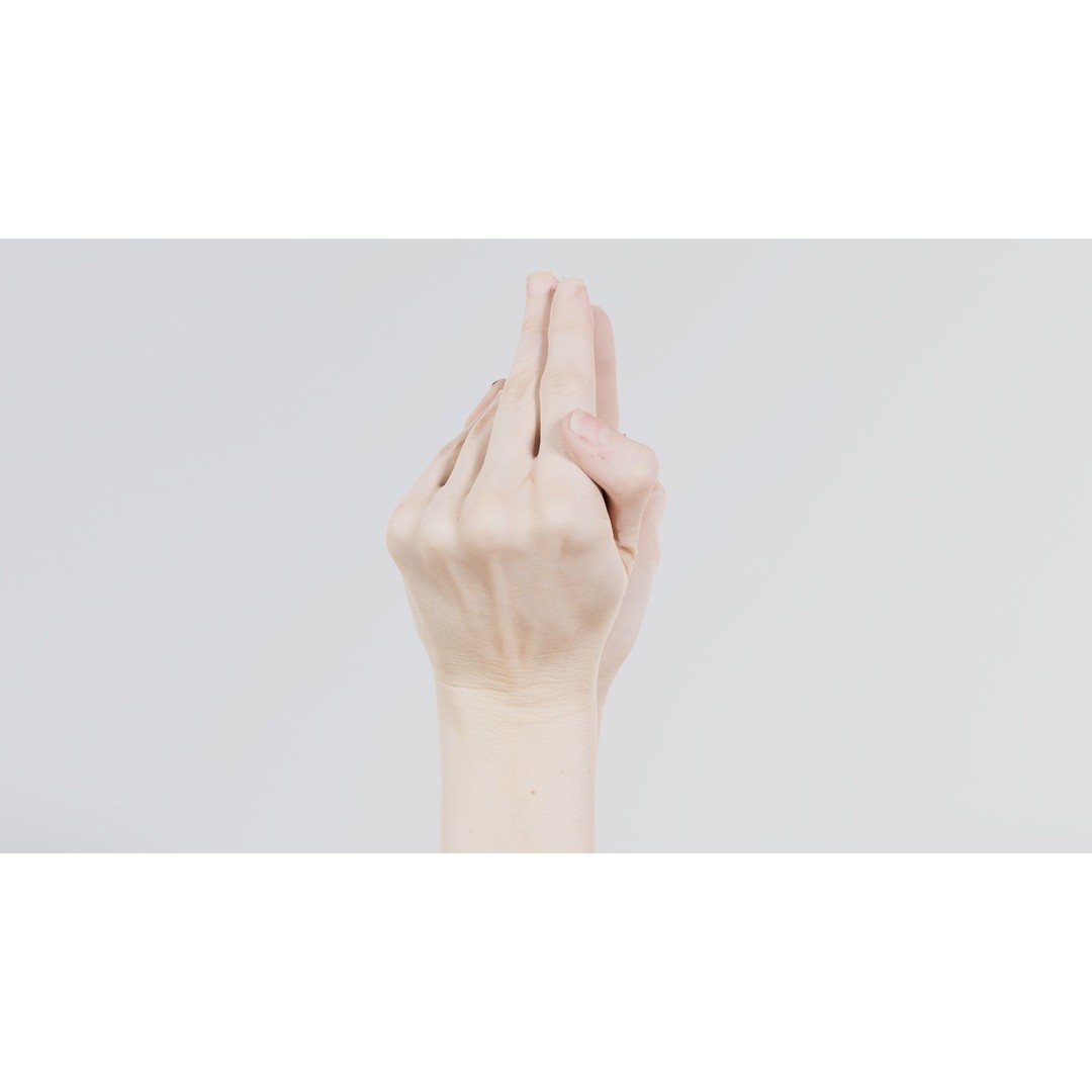 Duo Hands 3D Model – Low Poly Character Asset, FBX & More - View 7