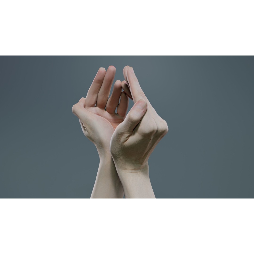 Duo Hands 3D Model – Low Poly Character Asset, FBX & More - View 9