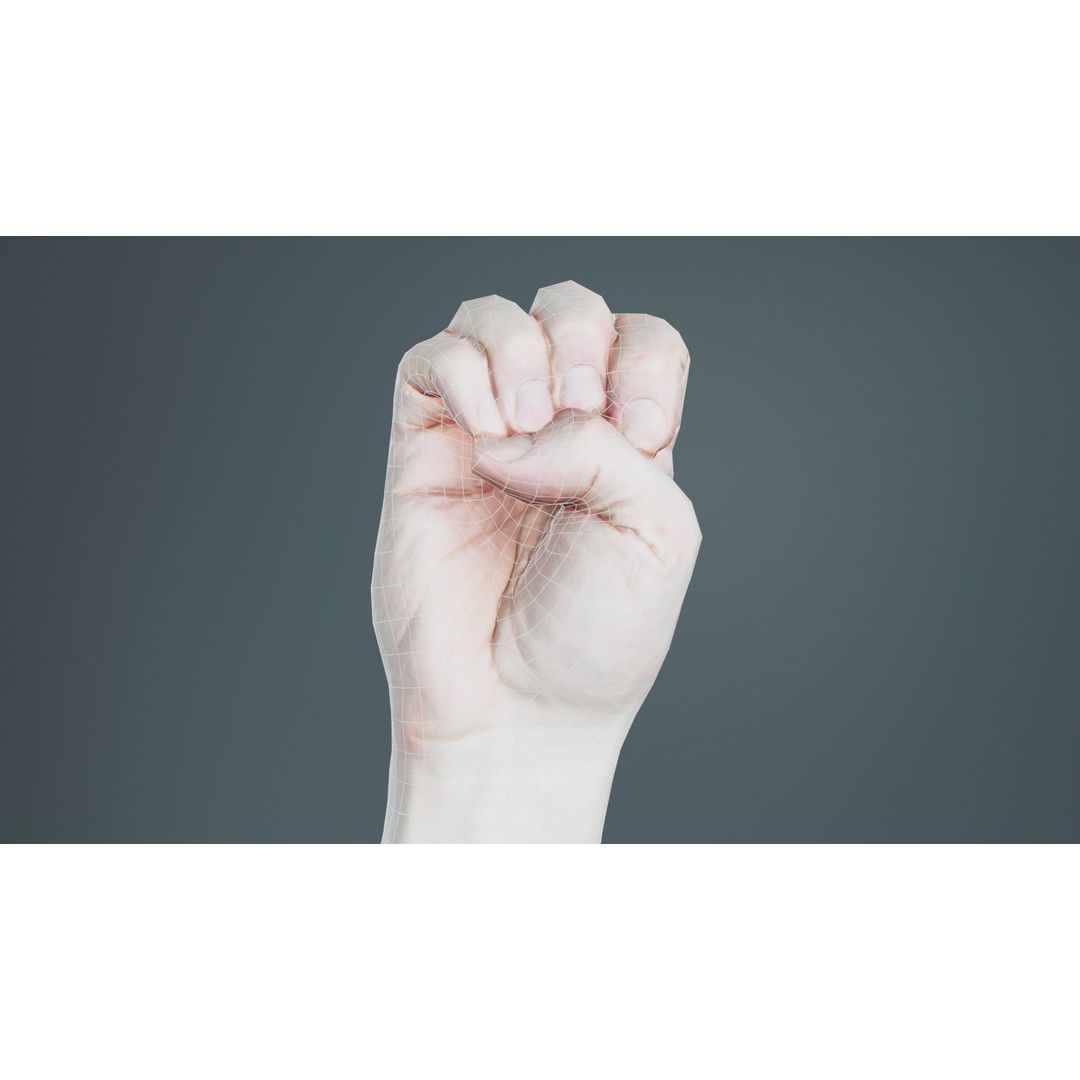 Male Hand 3D Model – Low Poly Finger Alphabet E for Games and Animation - View 11