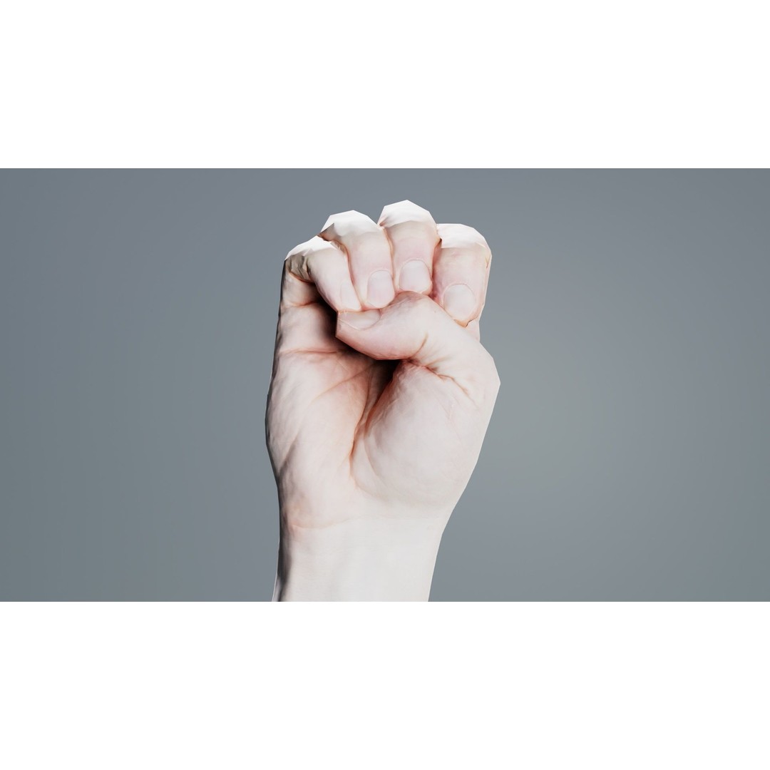 Male Hand 3D Model – Low Poly Finger Alphabet E for Games and Animation - View 9