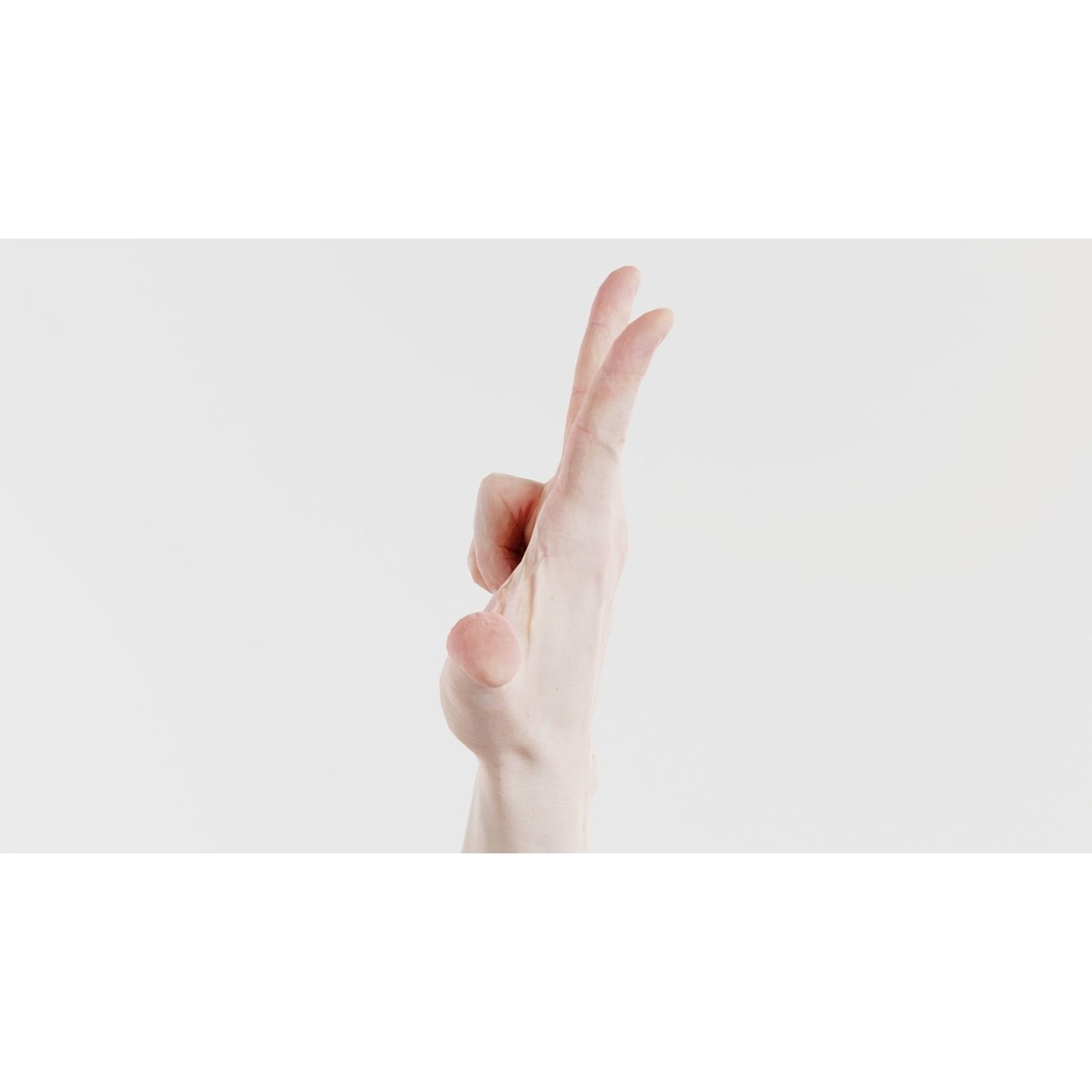 Male Hand Peace Sign 3D Model – Low Poly Game Asset, FBX, Blender - View 10
