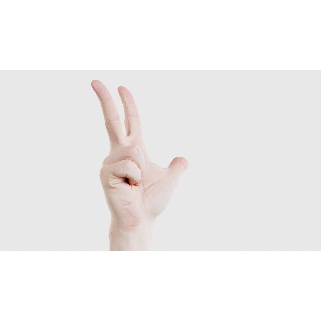 Male Hand Peace Sign 3D Model – Low Poly Game Asset, FBX, Blender - View 19