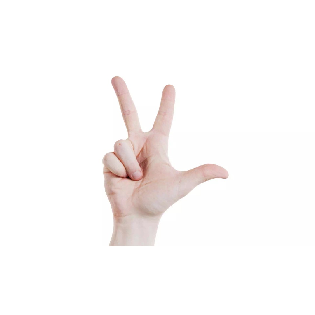 Male Hand Peace Sign 3D Model – Low Poly Game Asset, FBX, Blender - View 2