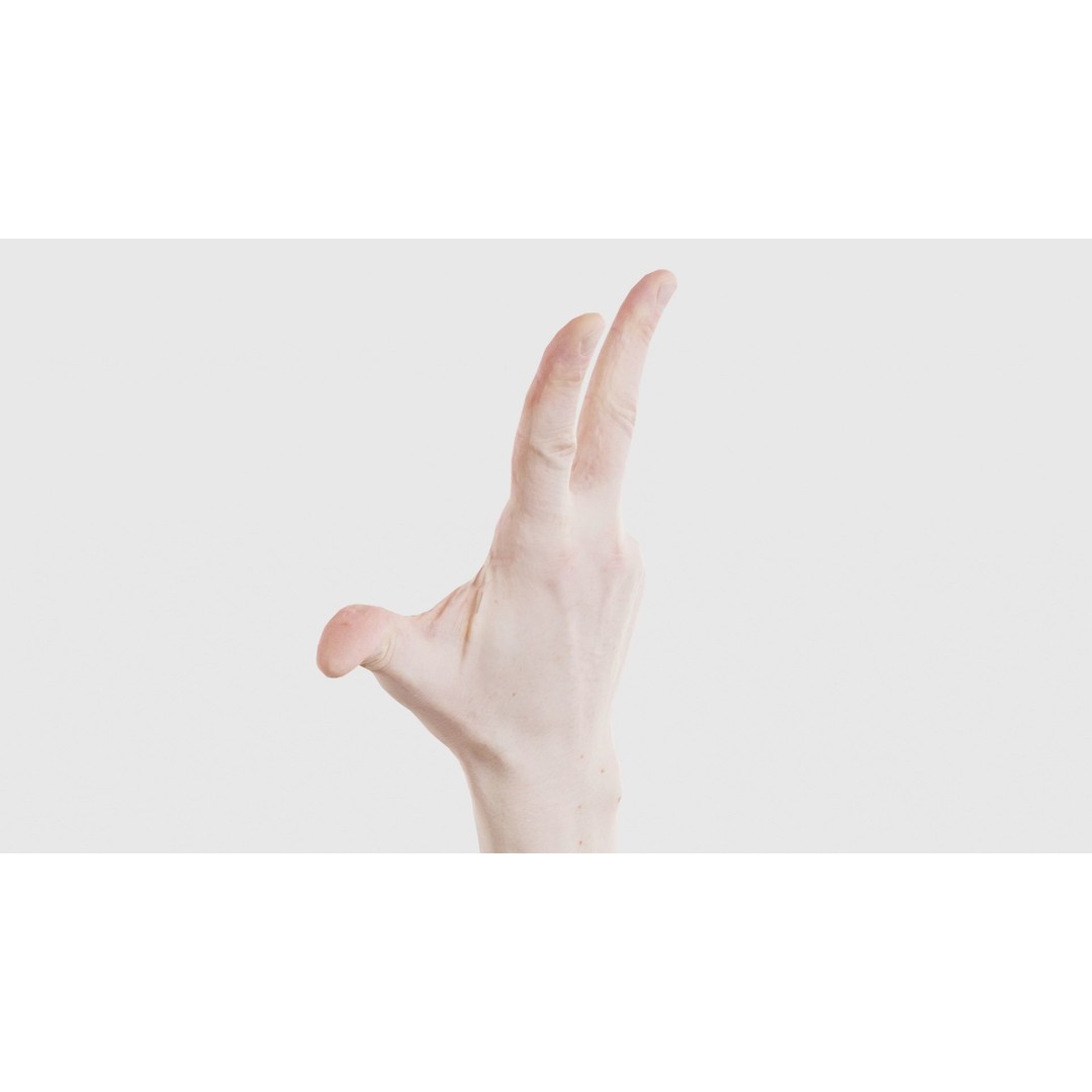 Male Hand Peace Sign 3D Model – Low Poly Game Asset, FBX, Blender - View 25
