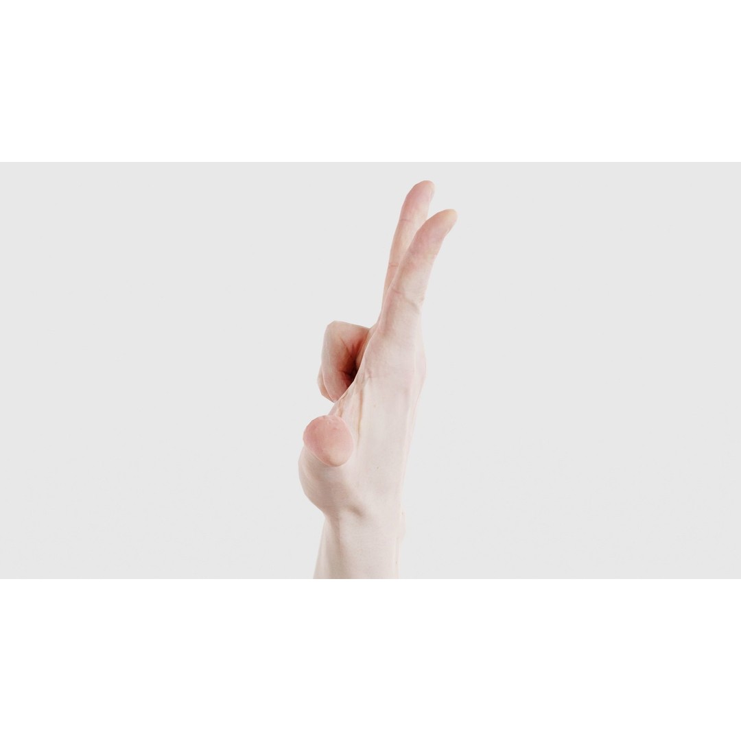 Male Hand Peace Sign 3D Model – Low Poly Game Asset, FBX, Blender - View 26