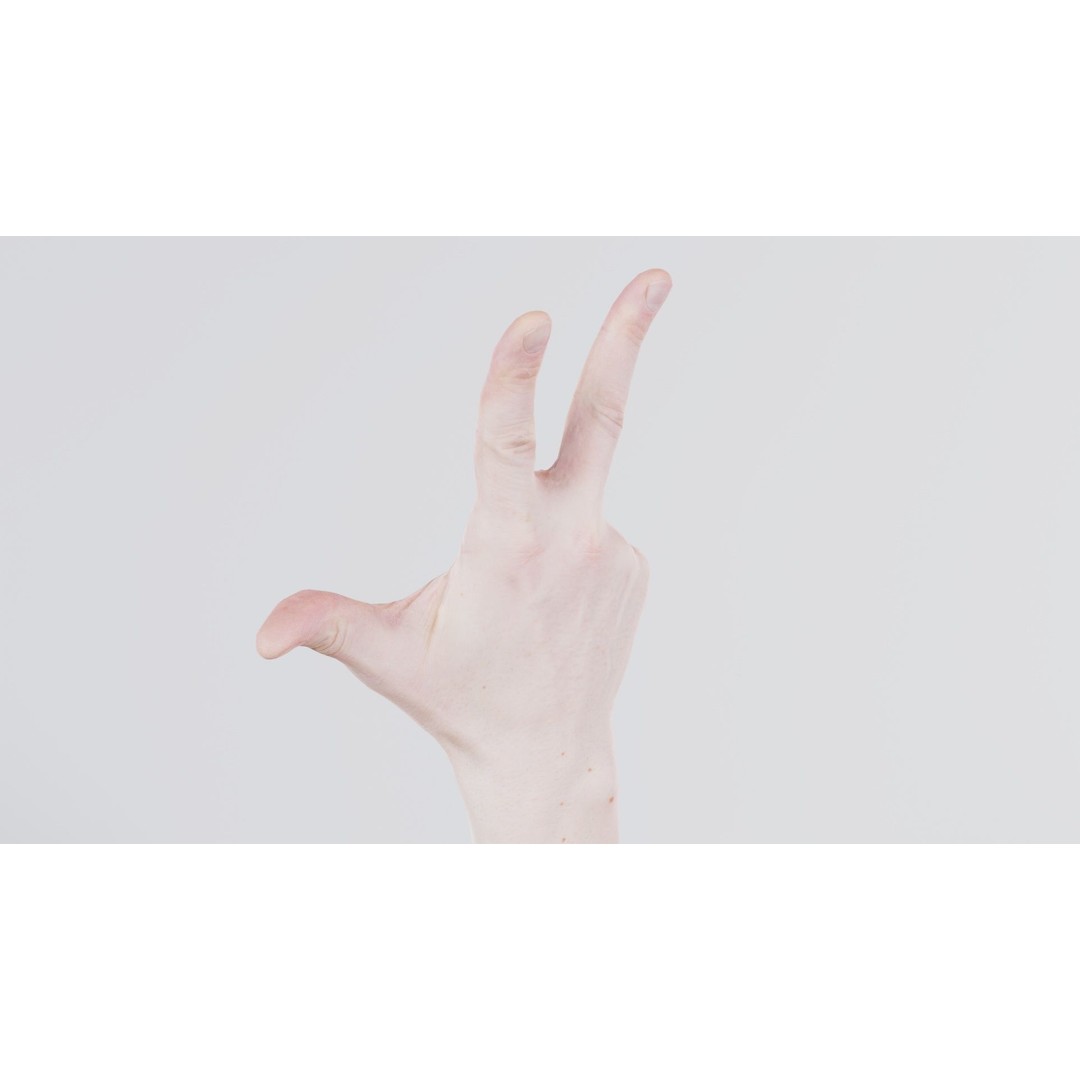 Male Hand Peace Sign 3D Model – Low Poly Game Asset, FBX, Blender - View 3