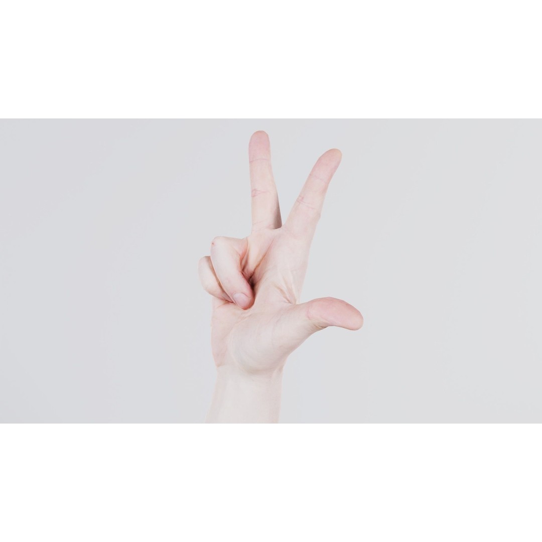 Male Hand Peace Sign 3D Model – Low Poly Game Asset, FBX, Blender - View 9