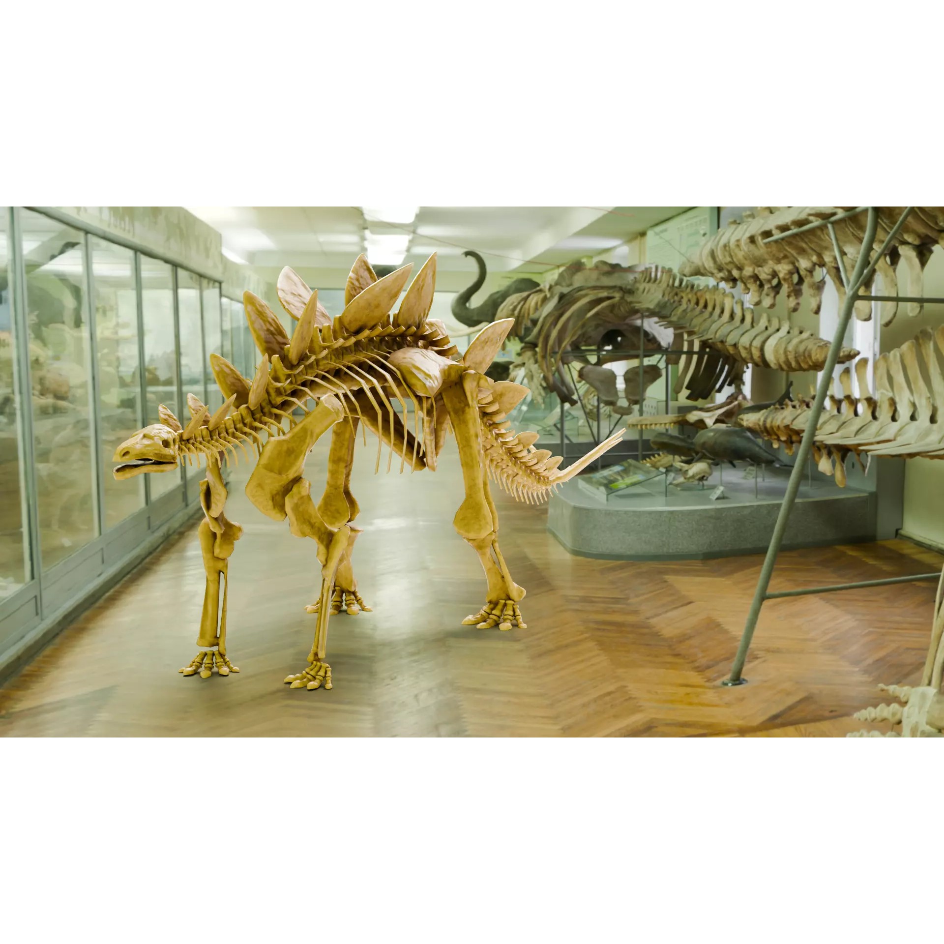 Realistic Stegosaurus - Low-Poly Game-Ready 3D Model - View 2