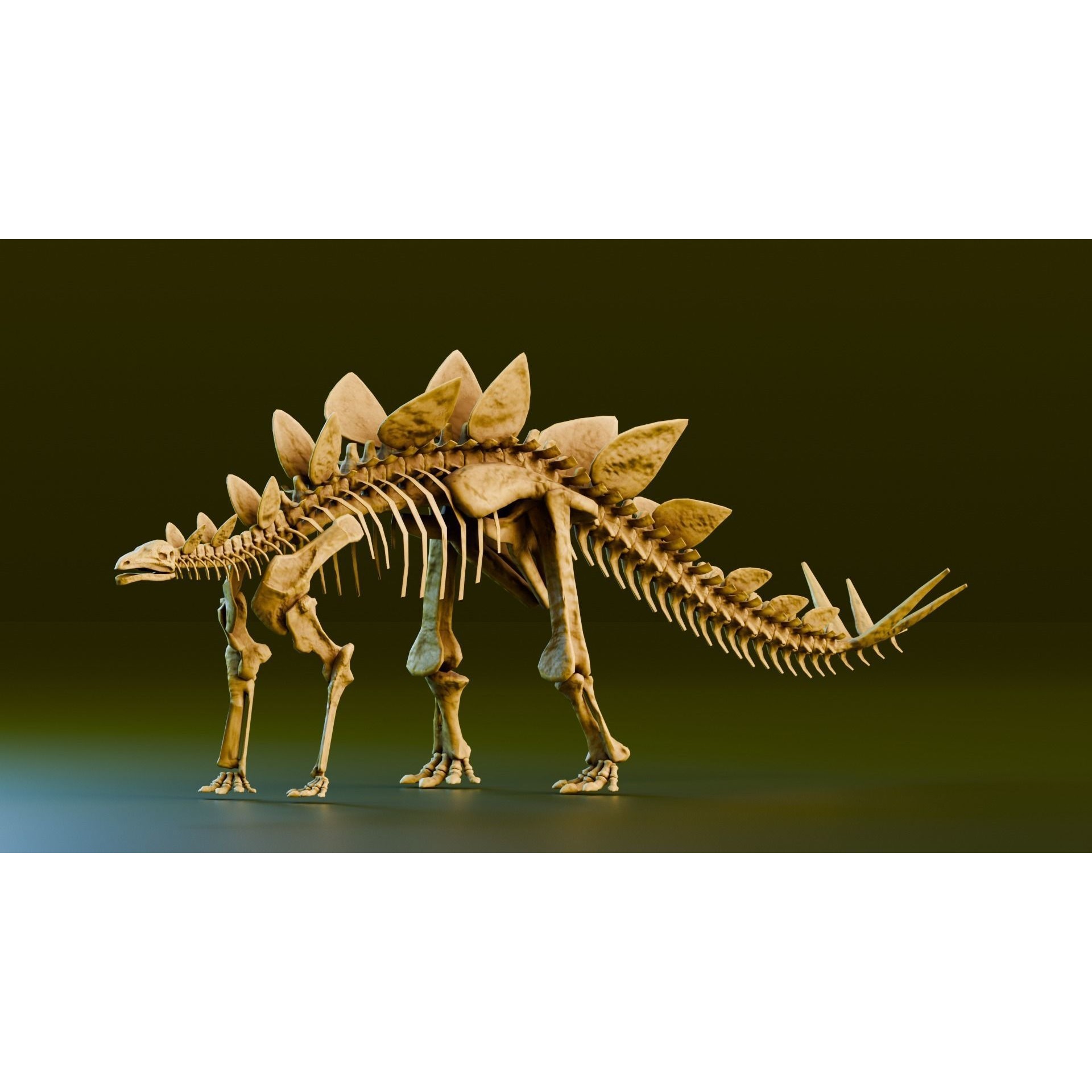 Realistic Stegosaurus - Low-Poly Game-Ready 3D Model - View 3