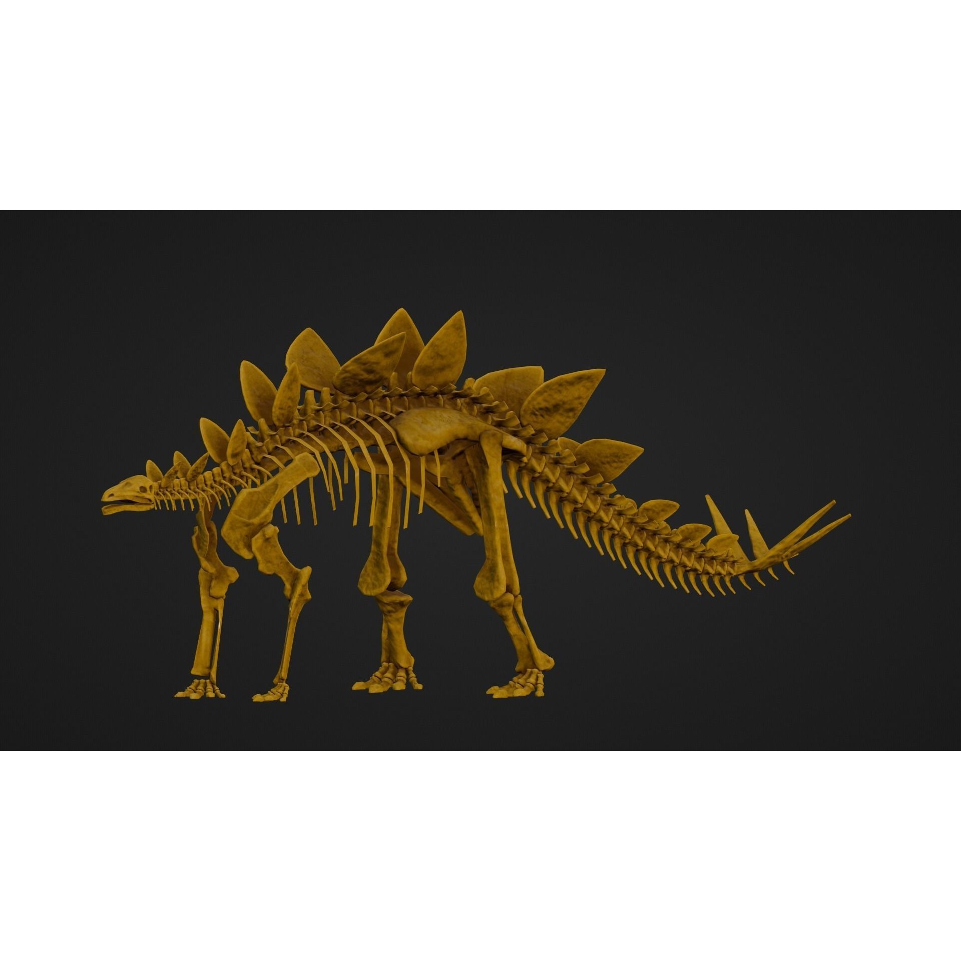 Realistic Stegosaurus - Low-Poly Game-Ready 3D Model - View 8