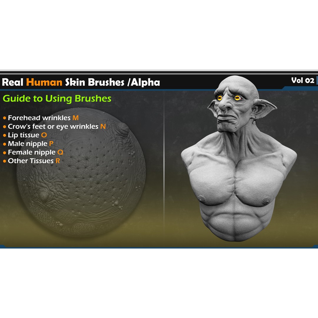 Real Human Skin Brushes 3D Model – High-Quality Alpha Set, VDM for Blender - View 3