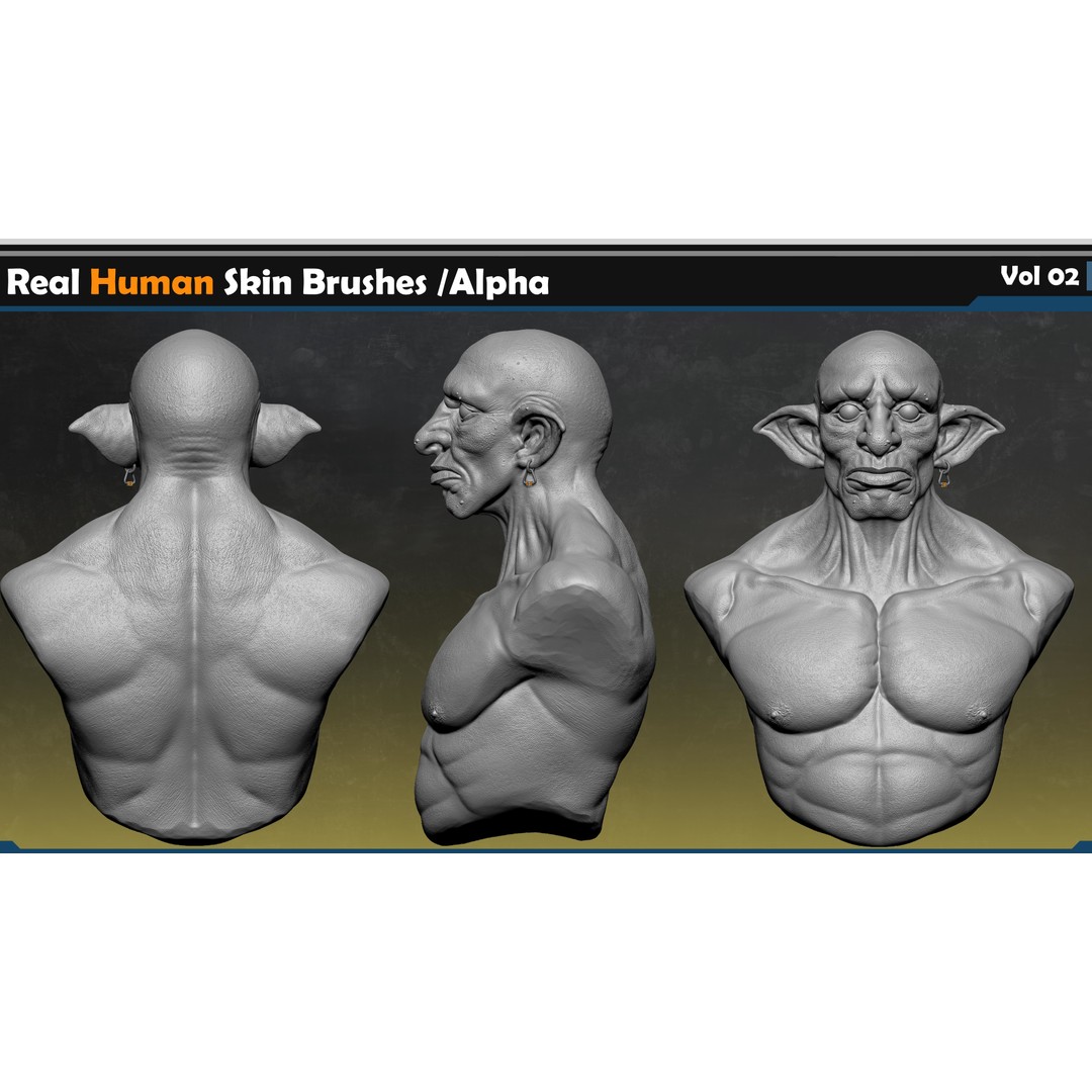 Real Human Skin Brushes 3D Model – High-Quality Alpha Set, VDM for Blender - View 6
