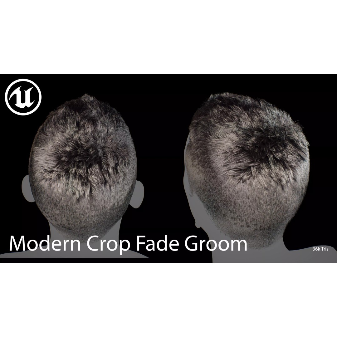 Modern Crop Fade 3D Model – Low Poly Game-Ready Hair Asset, FBX - View 3