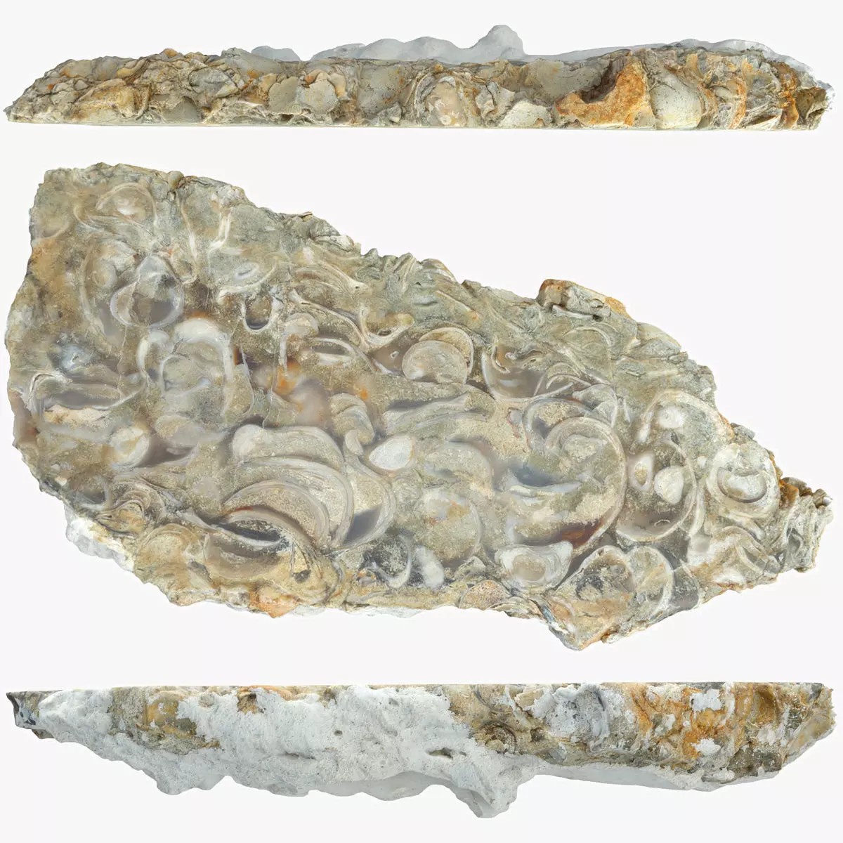 Chalcedony Metasomatite with Bivalve Molluscs - Low-Poly Game-Ready 3D Model - View 2