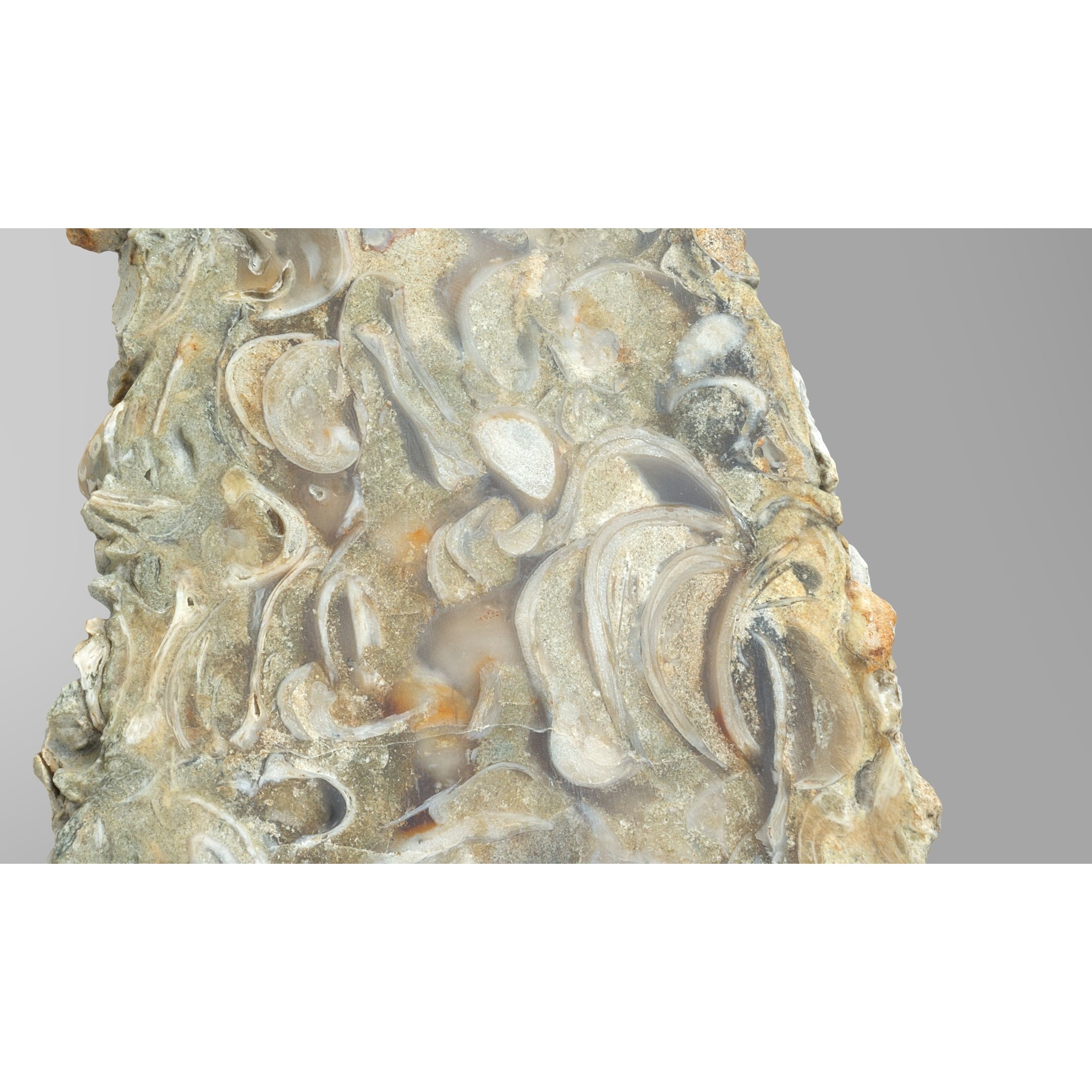 Chalcedony Metasomatite with Bivalve Molluscs - Low-Poly Game-Ready 3D Model - View 3