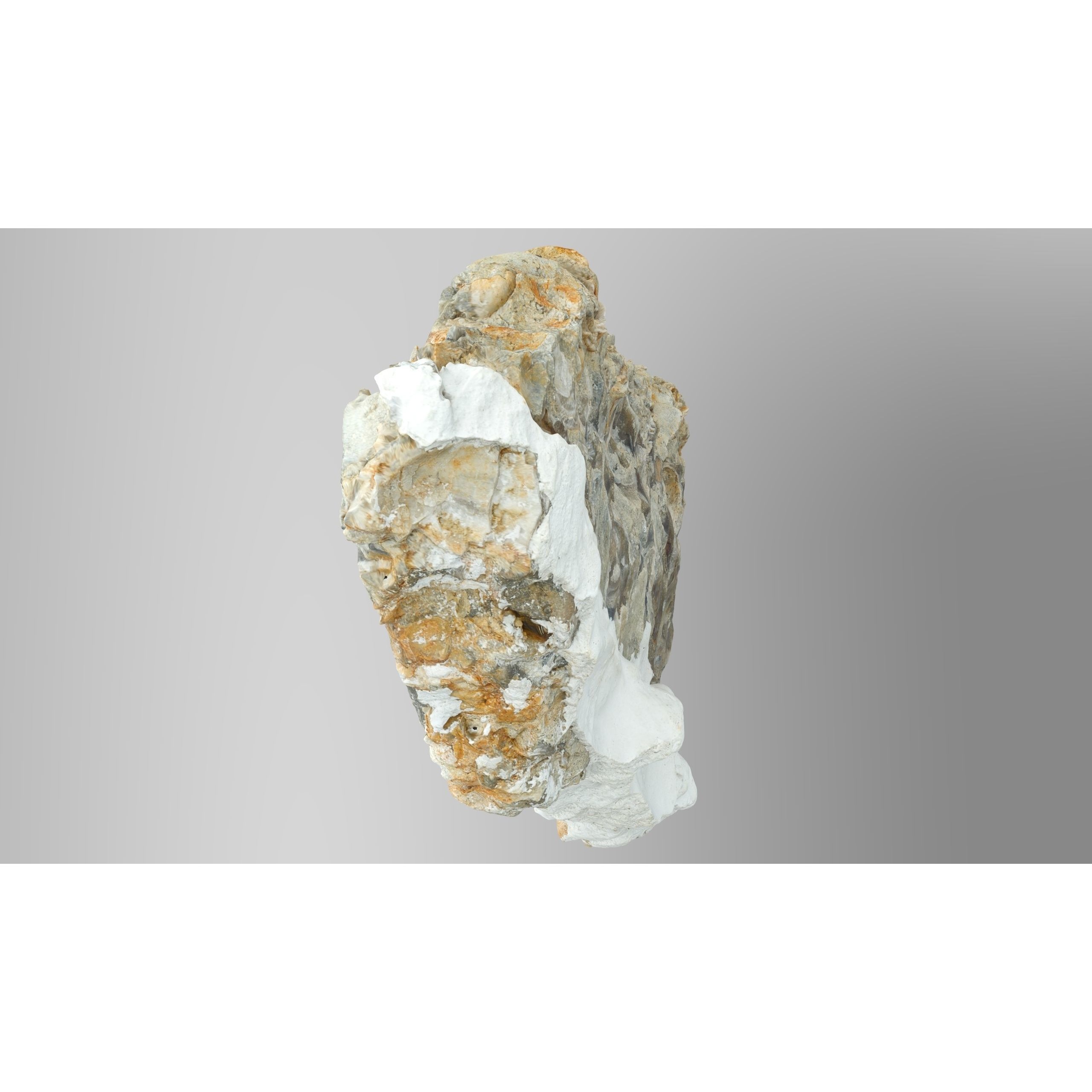 Chalcedony Metasomatite with Bivalve Molluscs - Low-Poly Game-Ready 3D Model - View 7
