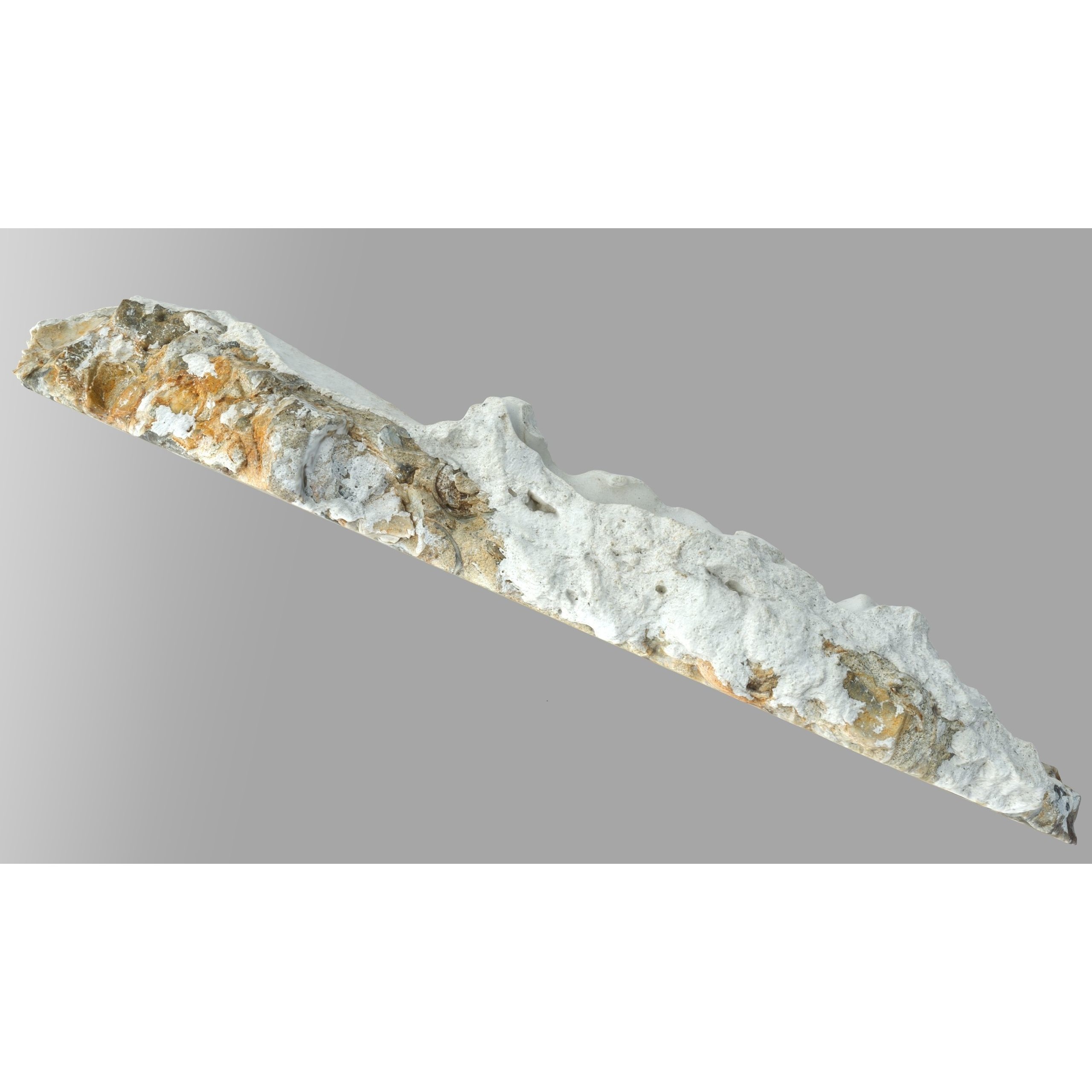 Chalcedony Metasomatite with Bivalve Molluscs - Low-Poly Game-Ready 3D Model - View 8