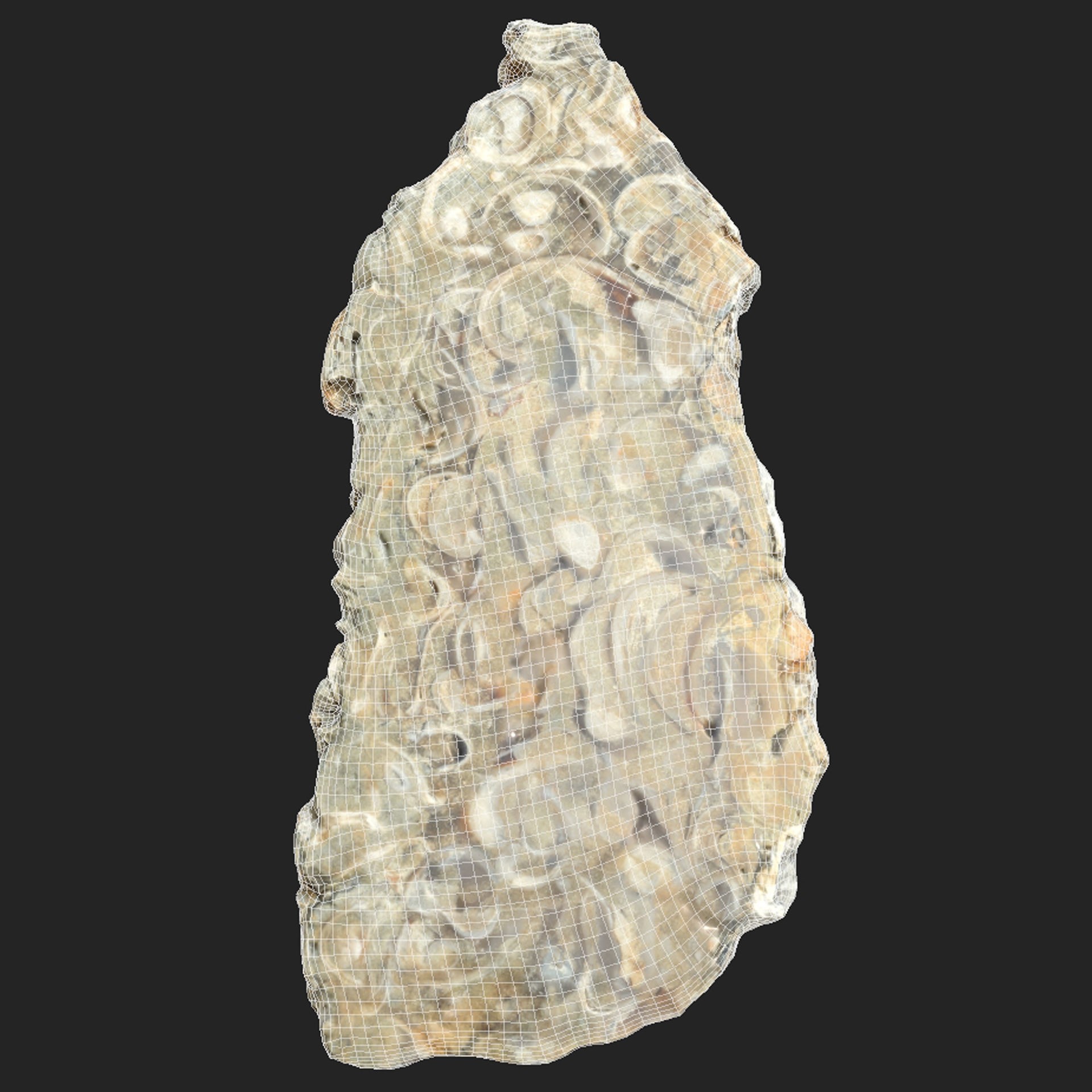 Chalcedony Metasomatite with Bivalve Molluscs - Low-Poly Game-Ready 3D Model - View 9