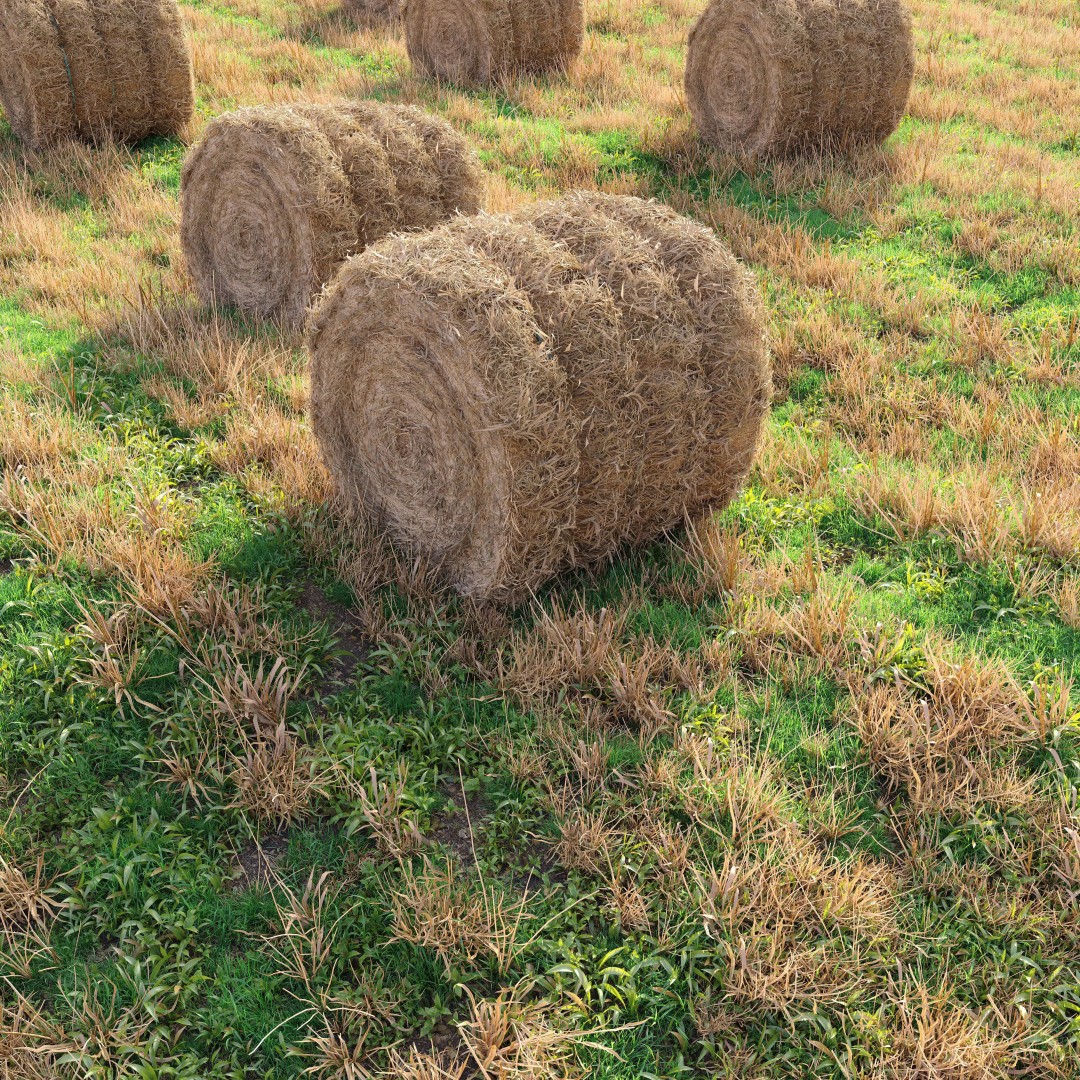 Farm Field 3D Model – Realistic Hay Bale Scene, FBX, PBR - View 2