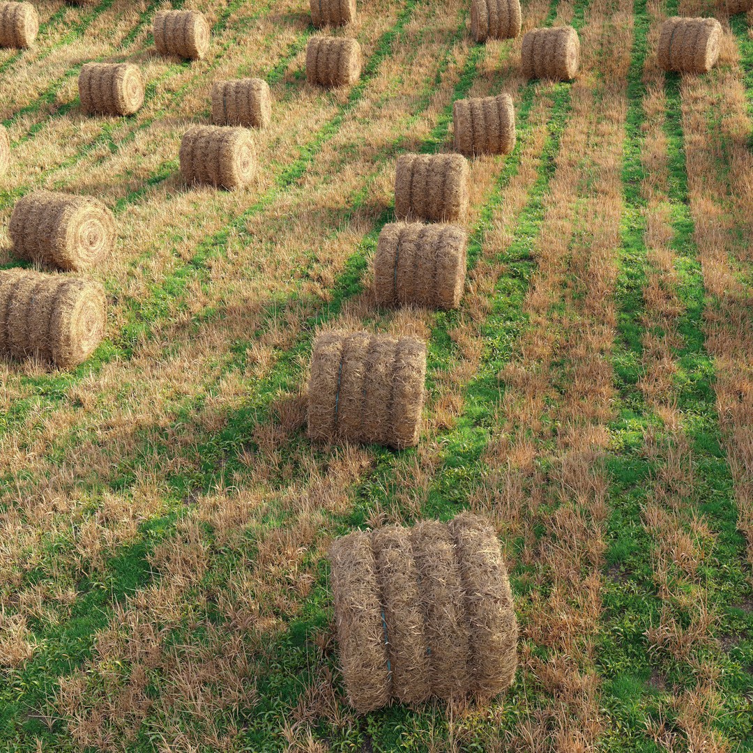 Farm Field 3D Model – Realistic Hay Bale Scene, FBX, PBR - View 3
