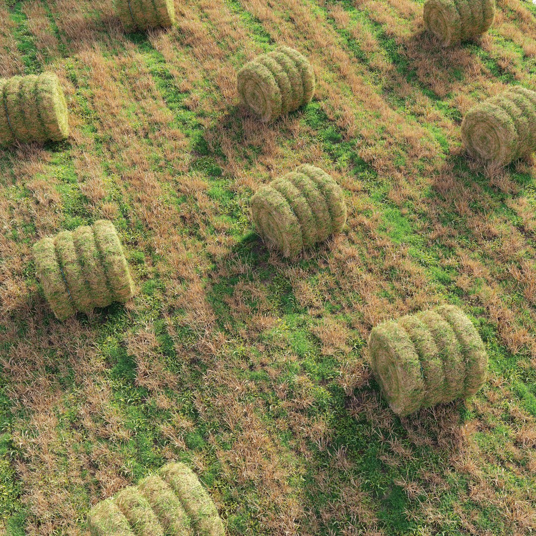 Farm Field 3D Model – Realistic Hay Bale Scene, FBX, PBR - View 4
