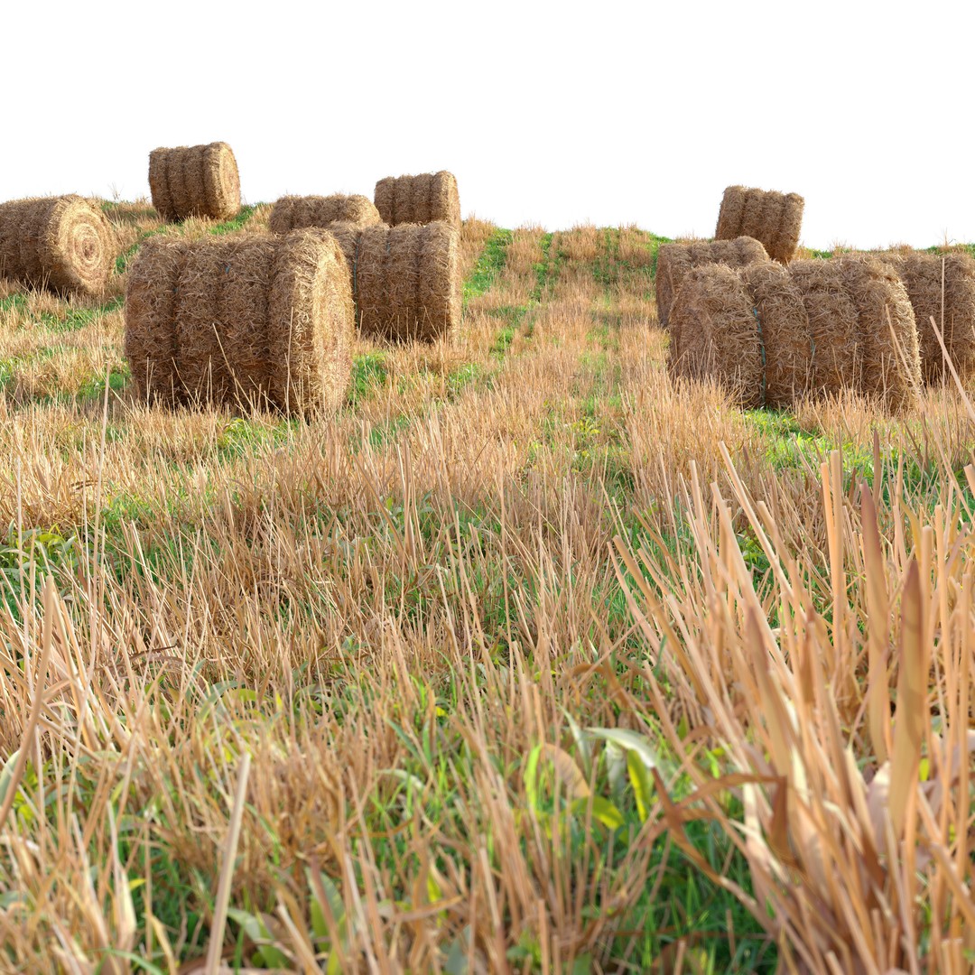 Farm Field 3D Model – Realistic Hay Bale Scene, FBX, PBR - View 6