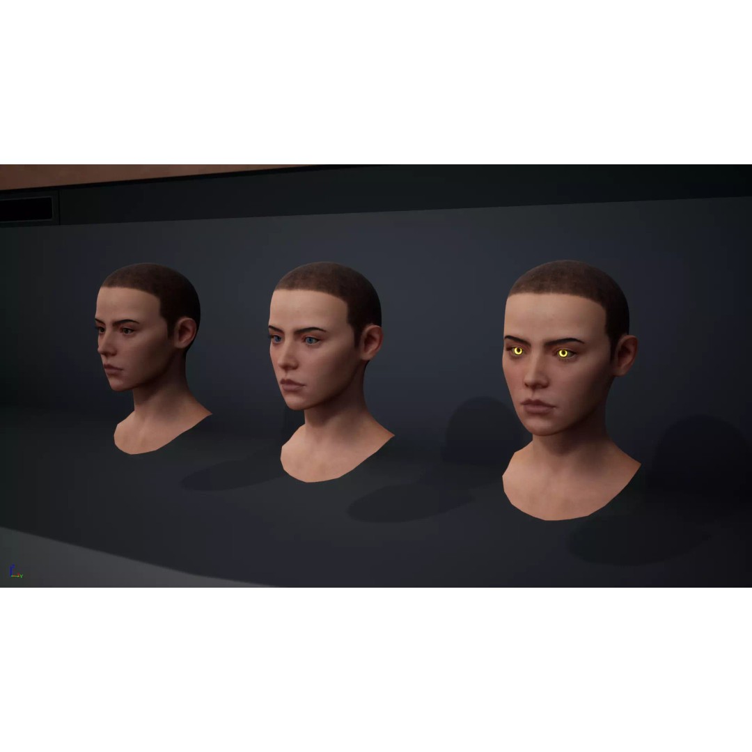 Gunslinger 3D Model – High Poly Fantasy Character, Rigged for Unreal Engine - View 15