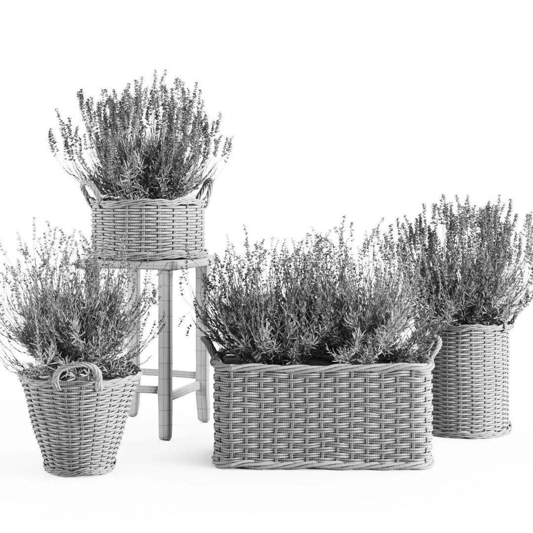 Lavender in Wicker Baskets 3D Model – Realistic PBR Plant Asset, FBX - View 3