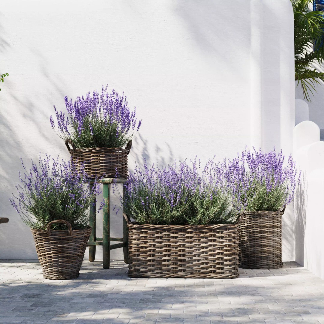 Lavender in Wicker Baskets 3D Model – Realistic PBR Plant Asset, FBX - View 4
