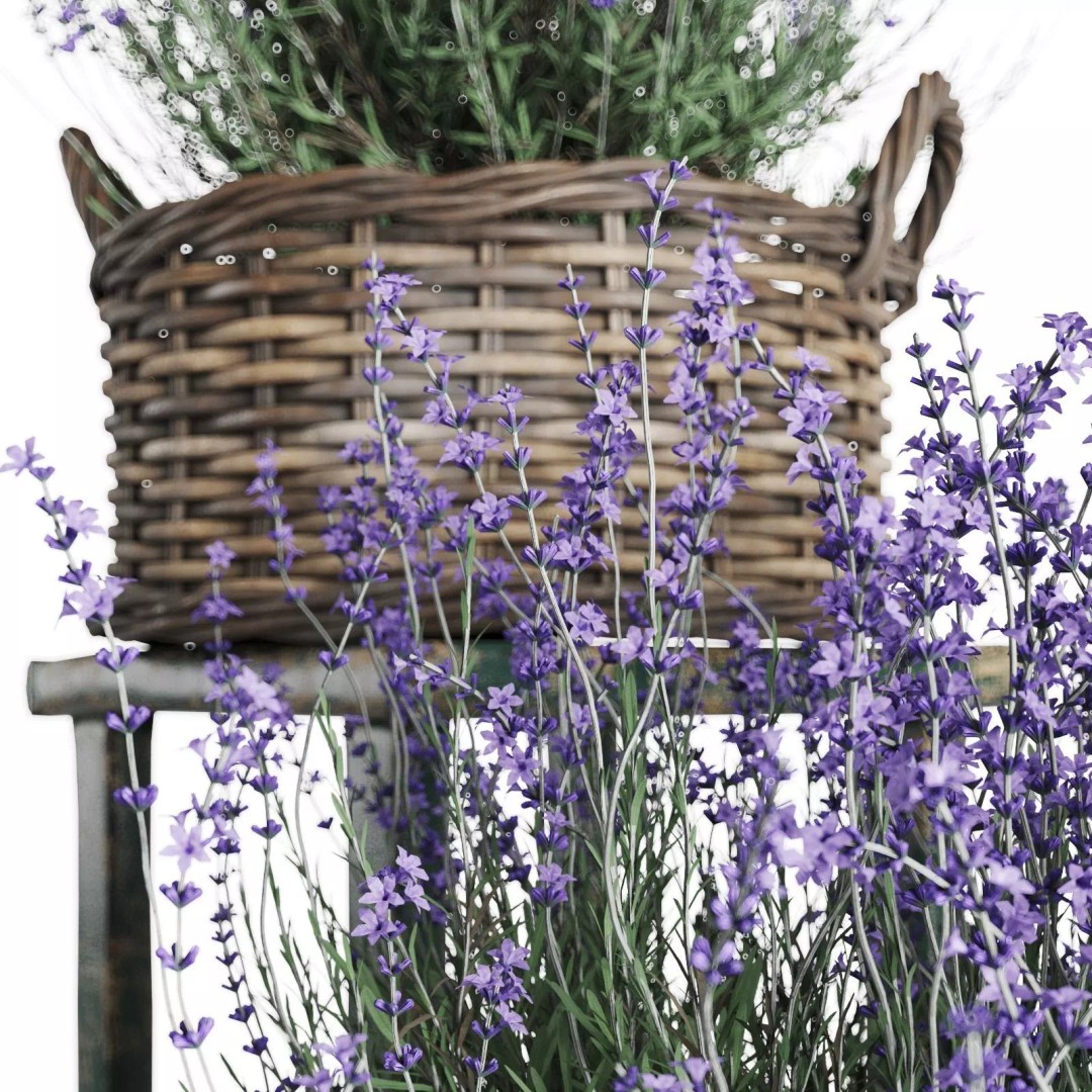 Lavender in Wicker Baskets 3D Model – Realistic PBR Plant Asset, FBX - View 7