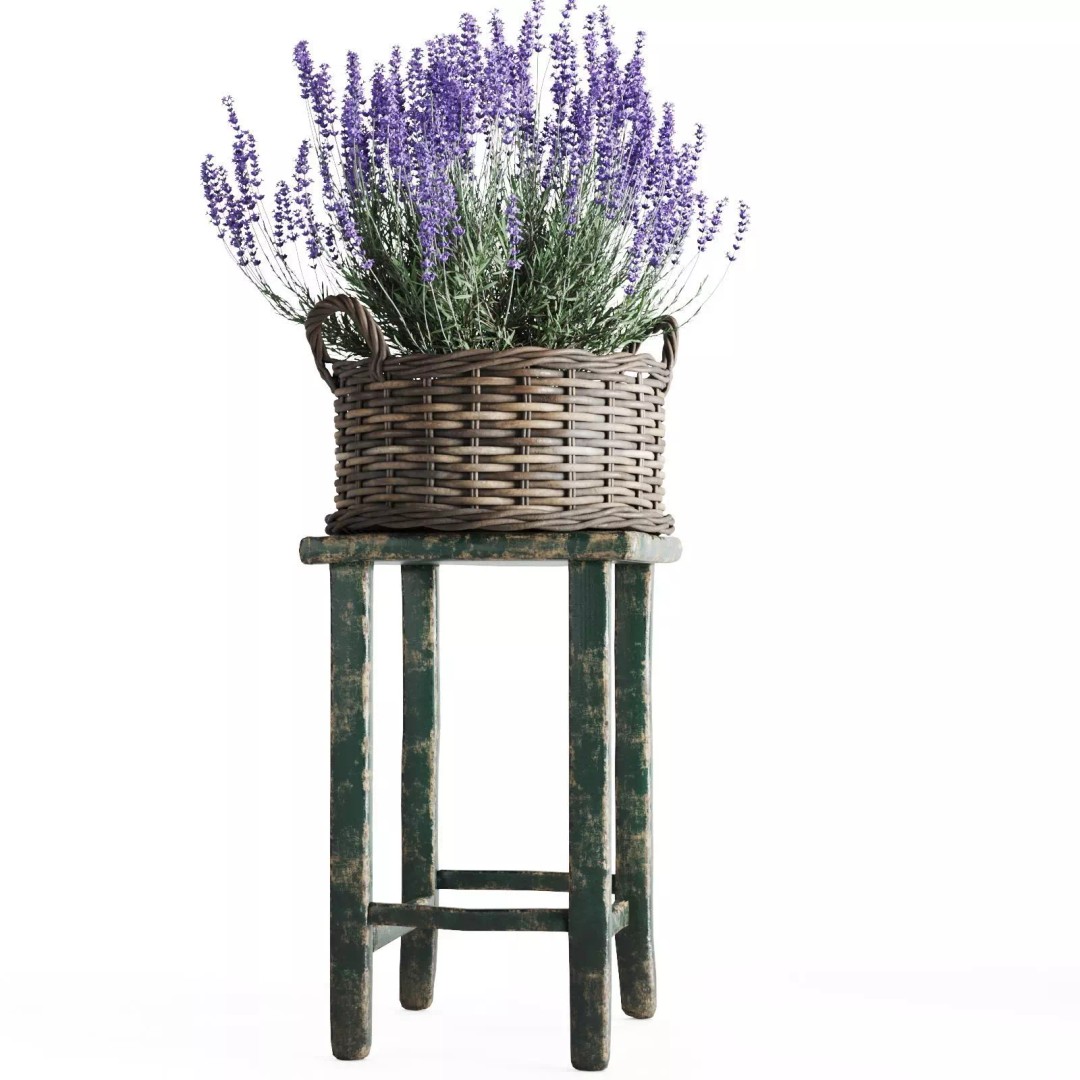 Lavender in Wicker Baskets 3D Model – Realistic PBR Plant Asset, FBX - View 9