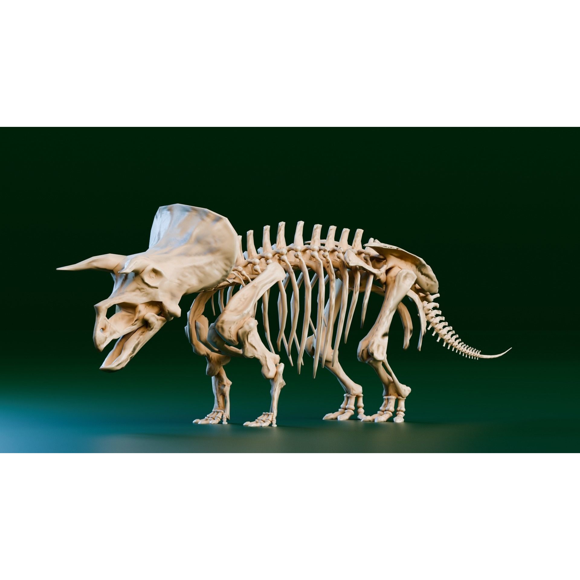 Triceratops - Low-Poly Game-Ready 3D Model - View 3