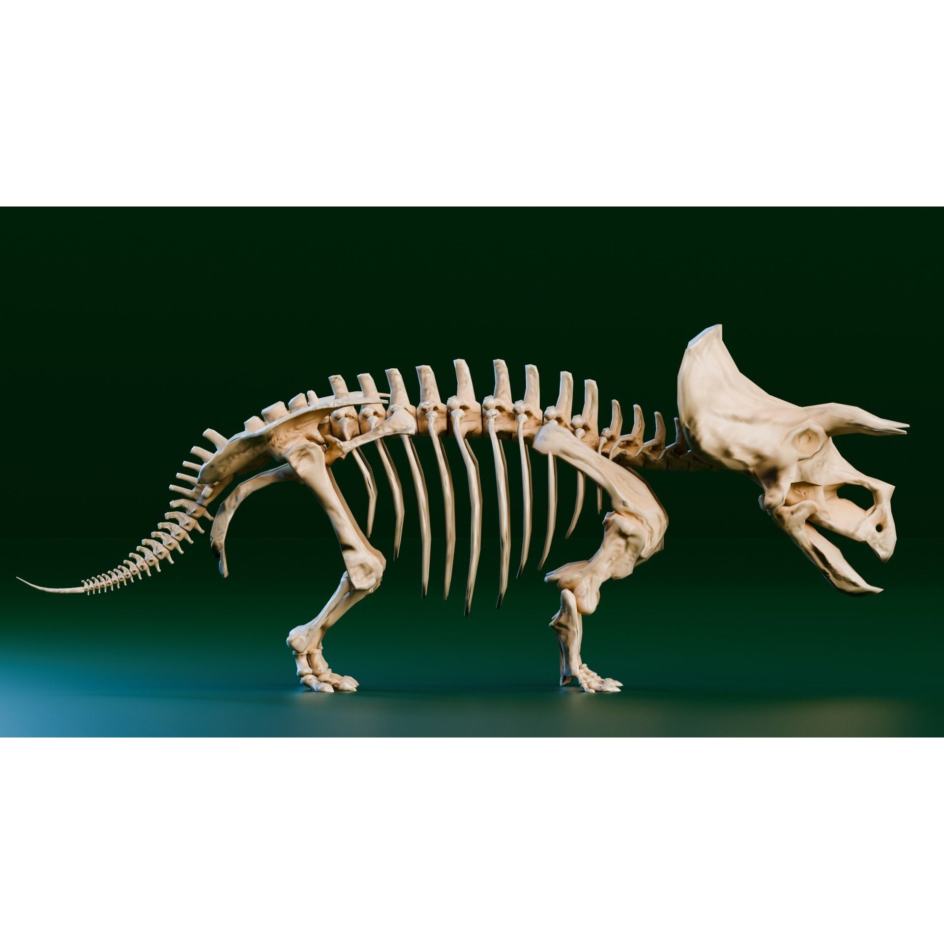 Triceratops - Low-Poly Game-Ready 3D Model - View 4