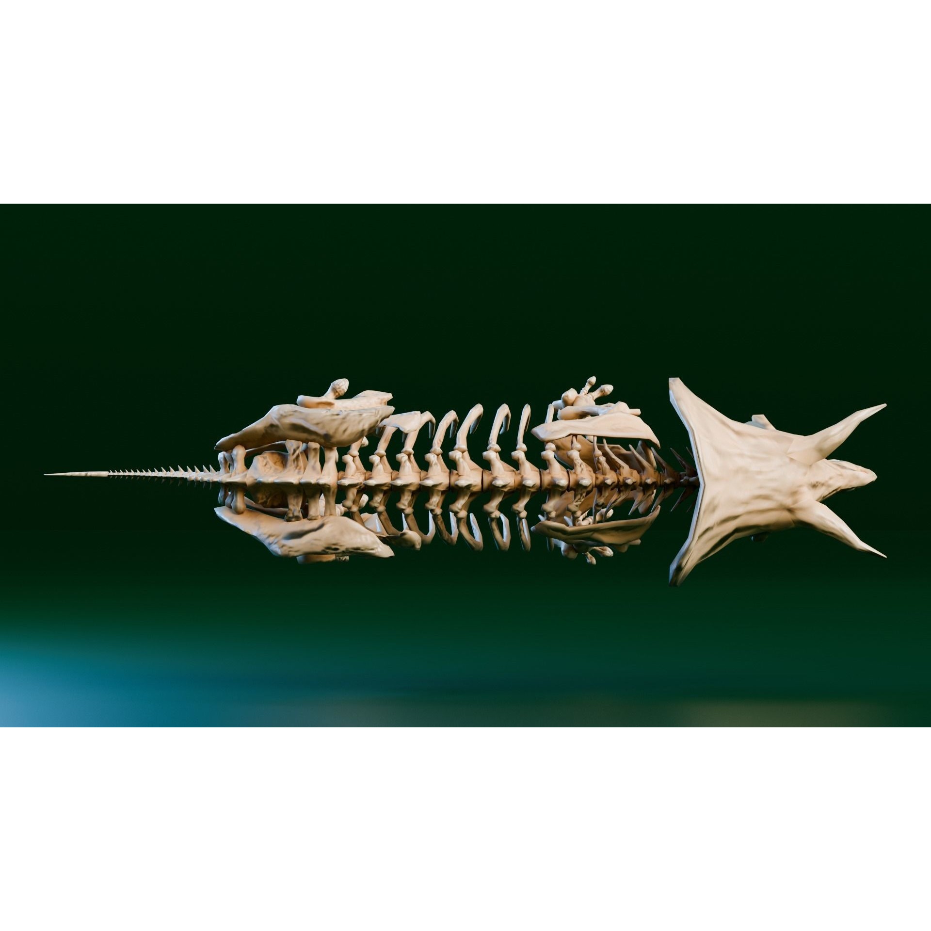 Triceratops - Low-Poly Game-Ready 3D Model - View 5